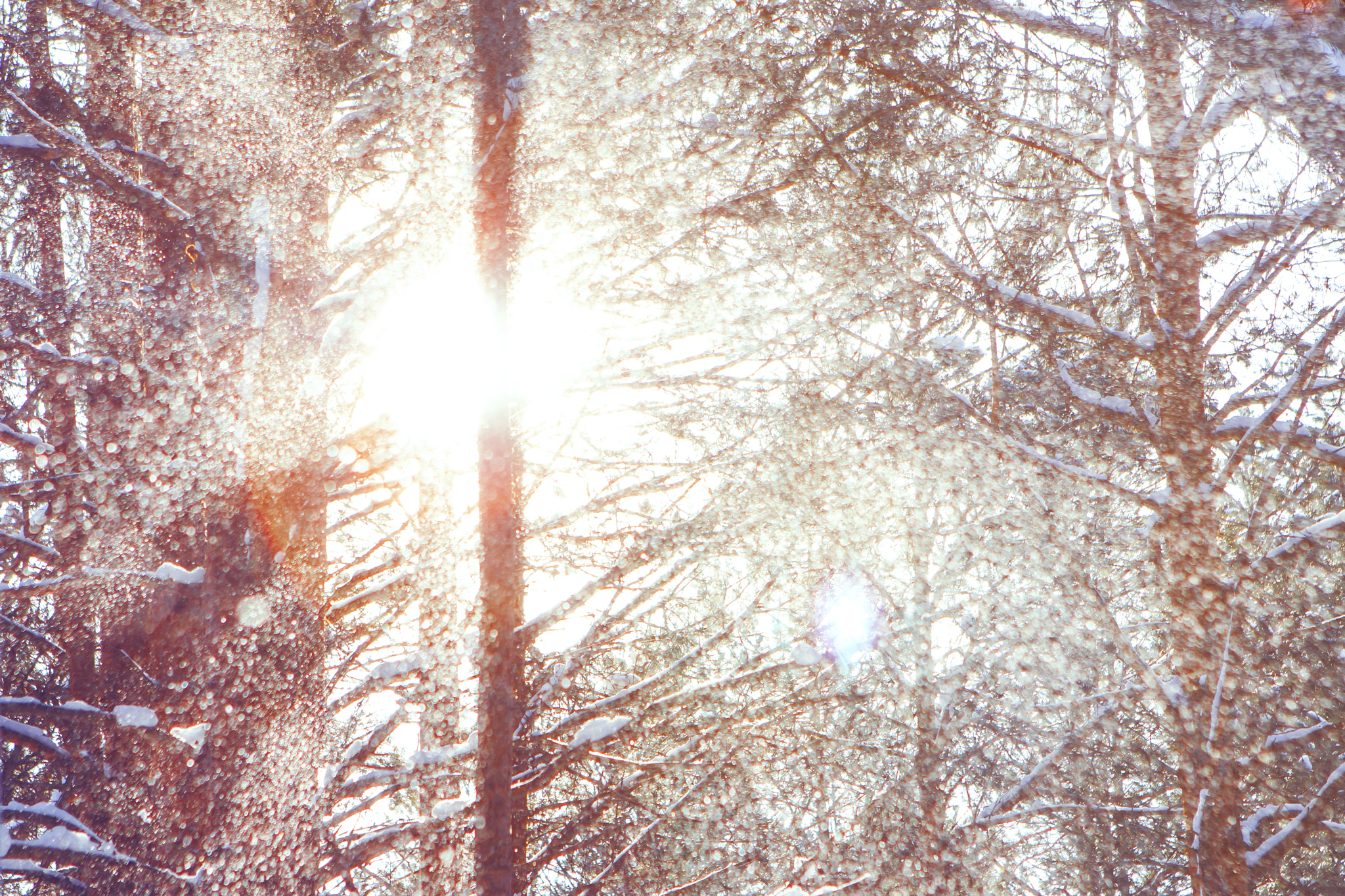 Canon EOS 450D (EOS Rebel XSi / EOS Kiss X2) + Canon EF 24-70mm F2.8L USM sample photo. Sunny snow photography