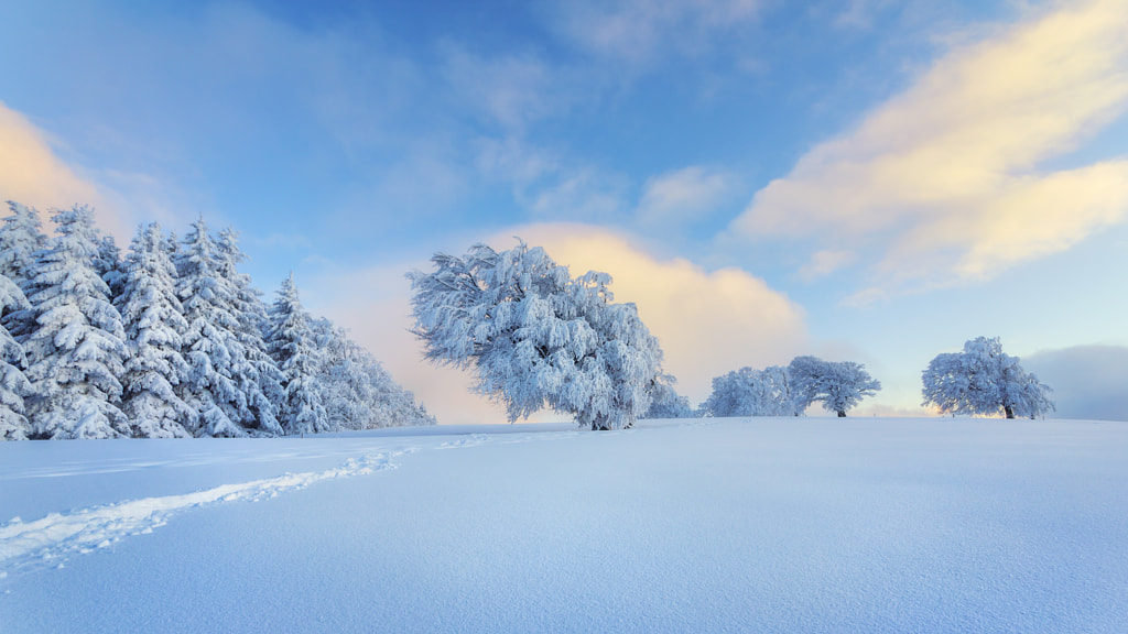 Schauinsland | Black Forest, Germany by Alex Meyer on 500px.com