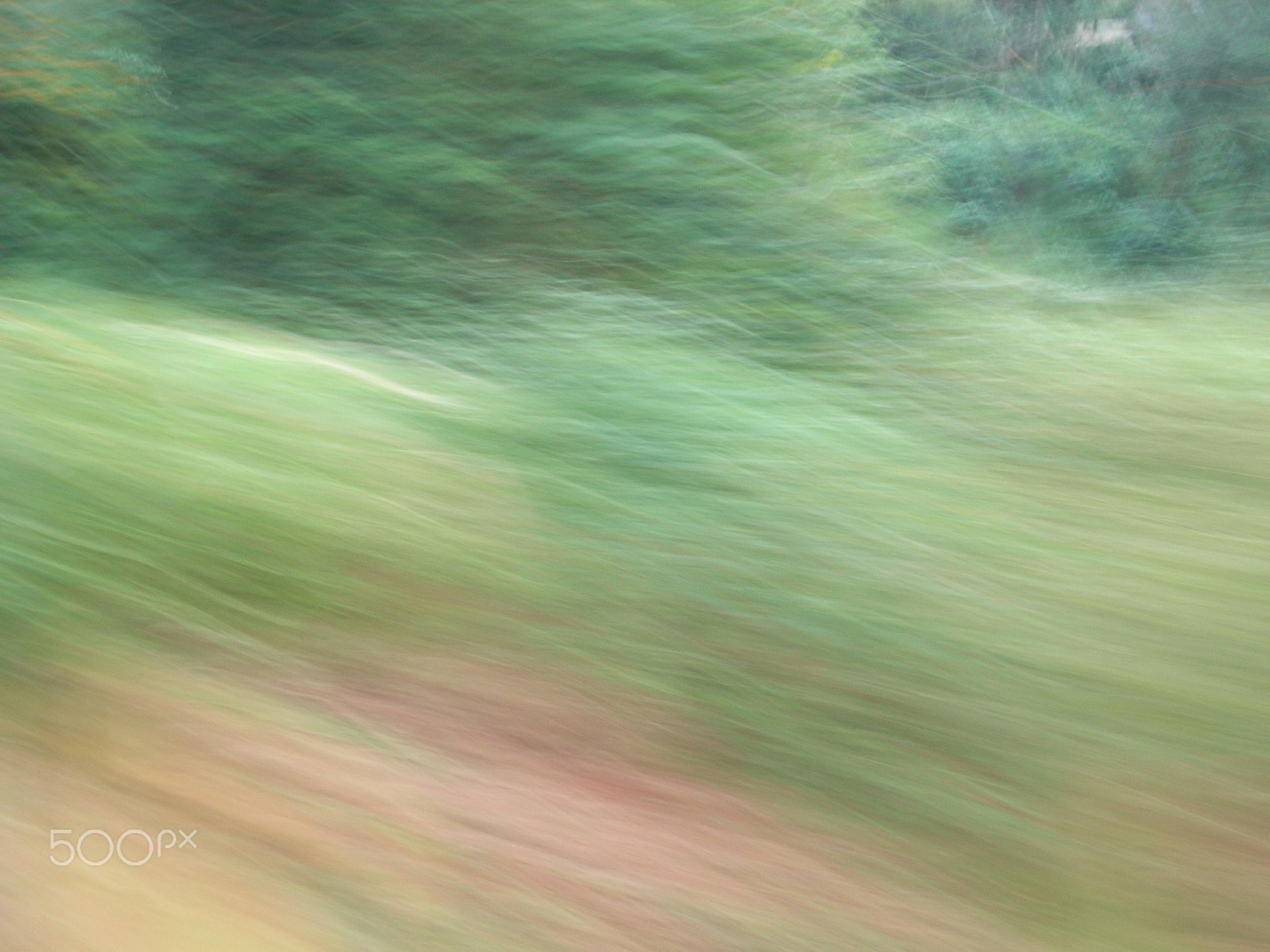 Ricoh Caplio R5 sample photo. Whizzing by photography