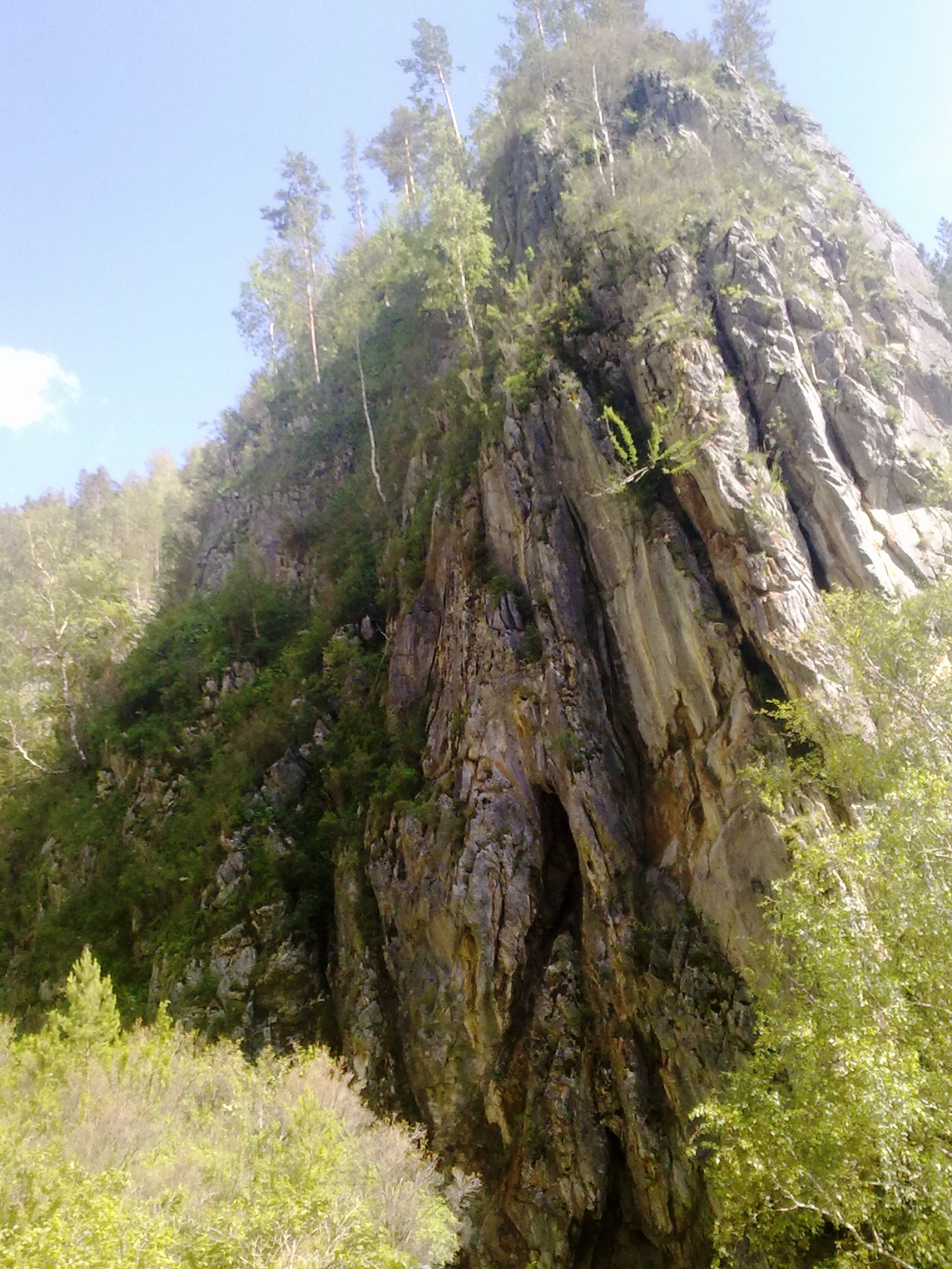 Nokia 5530 sample photo. 11062015047.jpg photography