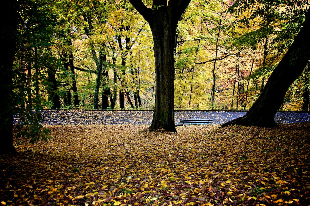 Canon EF 28-135mm F3.5-5.6 IS USM sample photo. Luxembourg photography