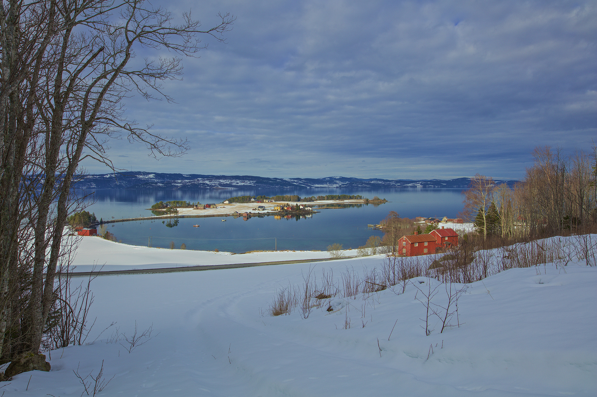 Sigma 24mm F1.4 DG HSM Art sample photo. Sun and shadows photography