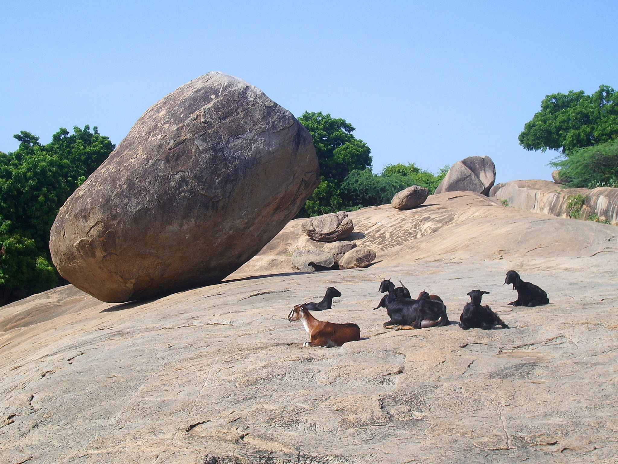 Pentax OPTIO S50 sample photo. Mahabalipuram rock photography