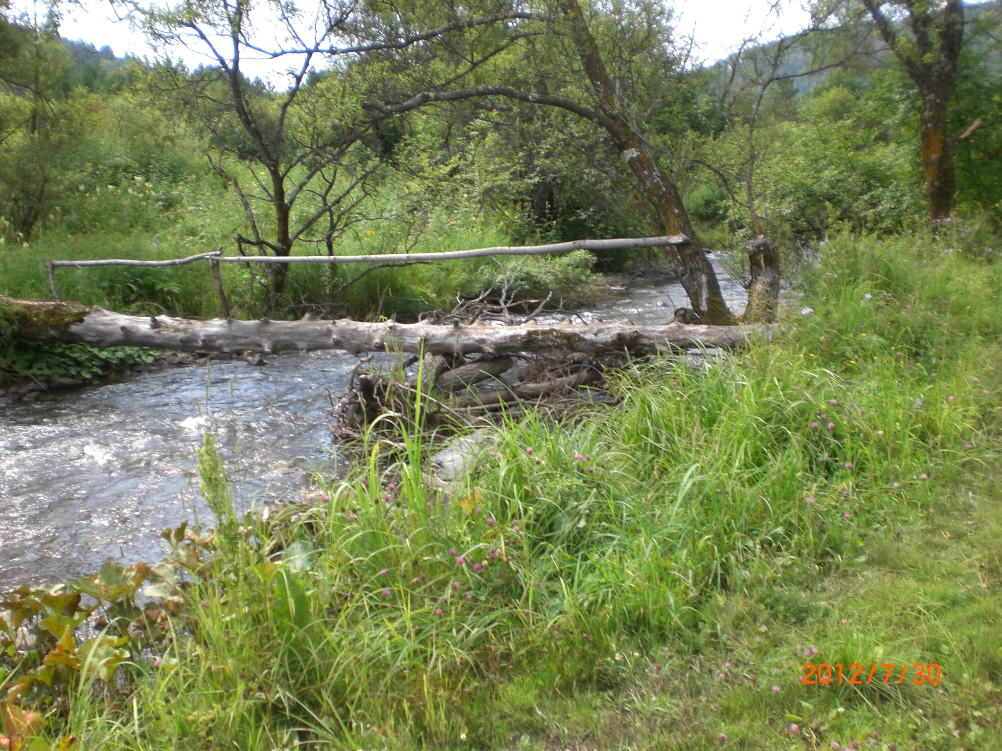 CASIO EX-Z75 sample photo. Cimg6168.jpg photography