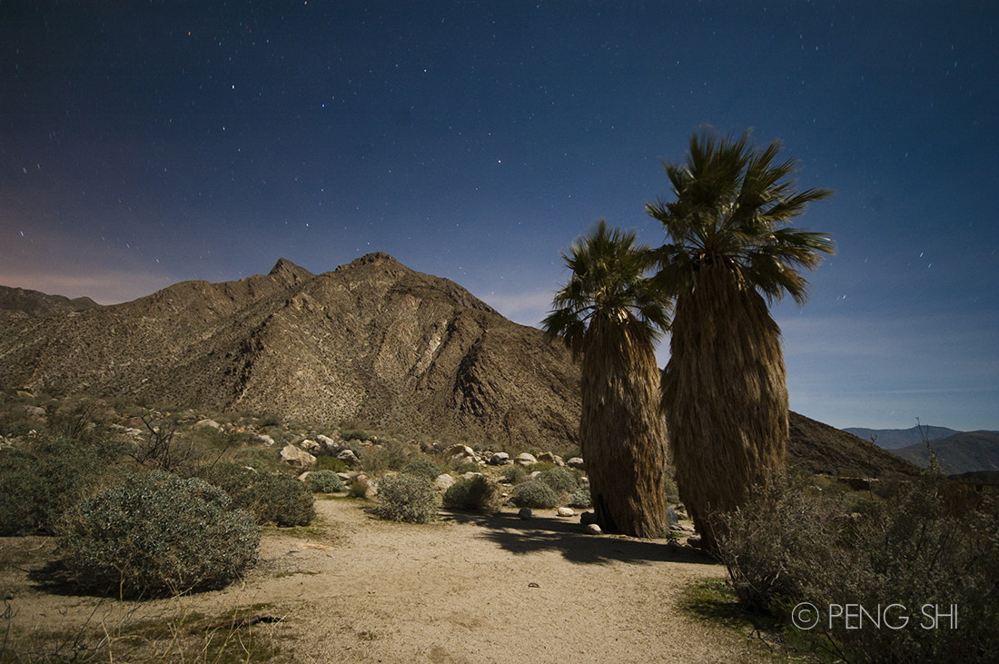 Nikon D70s sample photo. Twins in the night photography