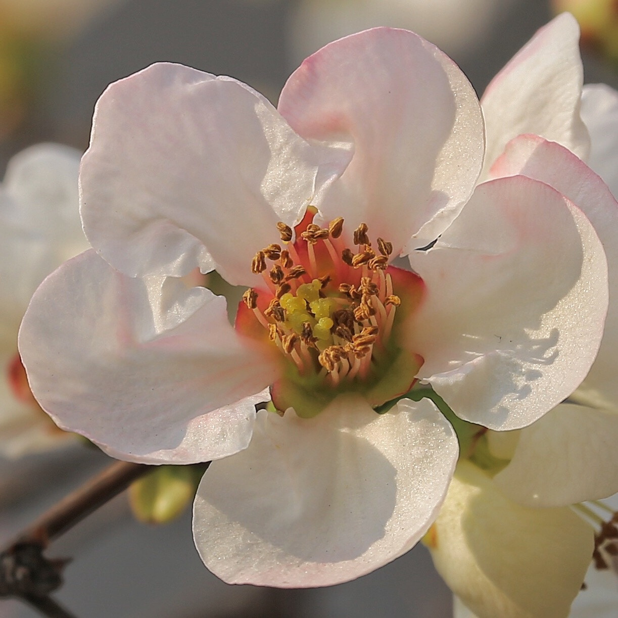 Canon EF 70-300mm F4-5.6L IS USM sample photo