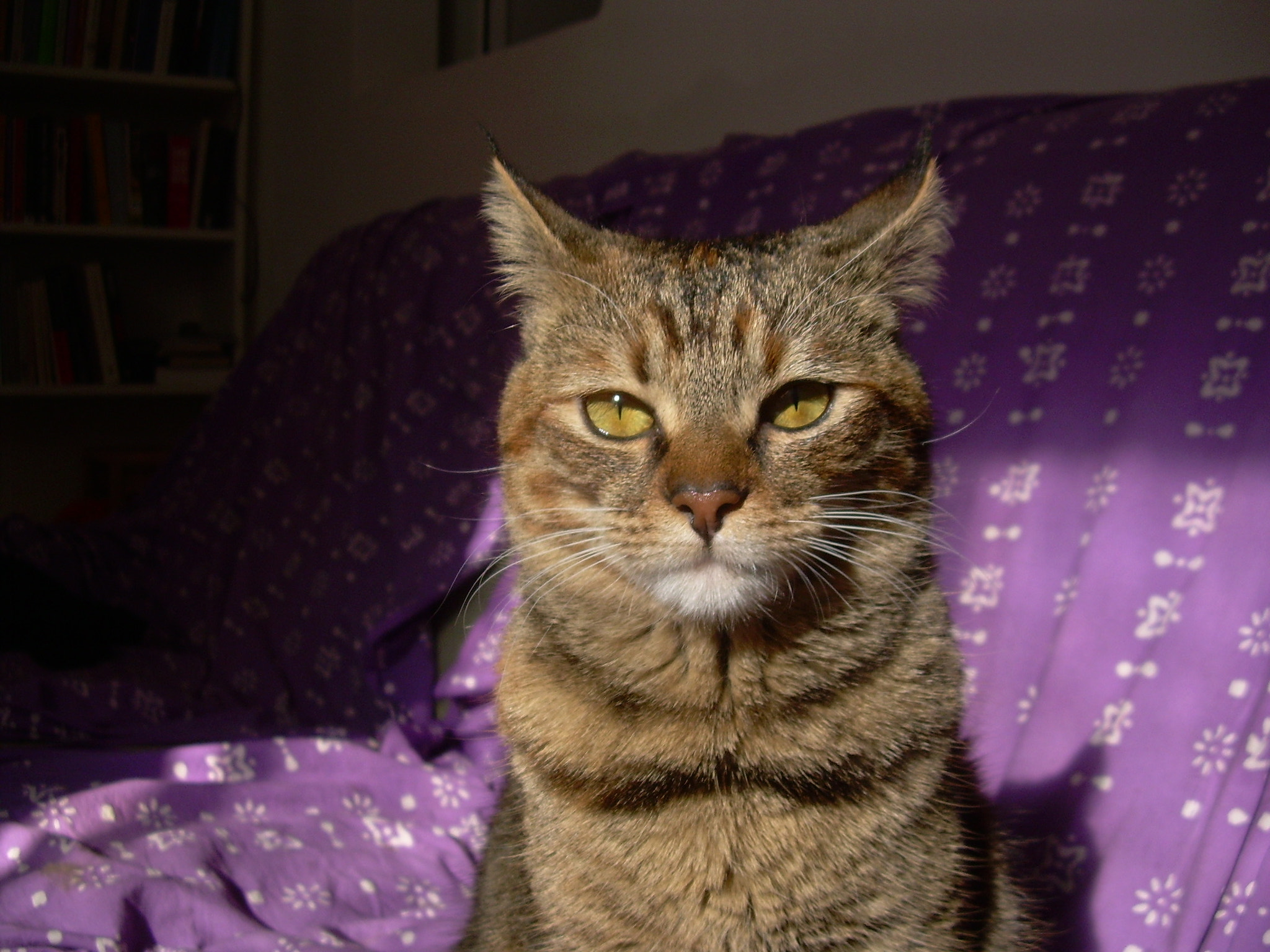 Nikon COOLPIX L4 sample photo. Well? photography