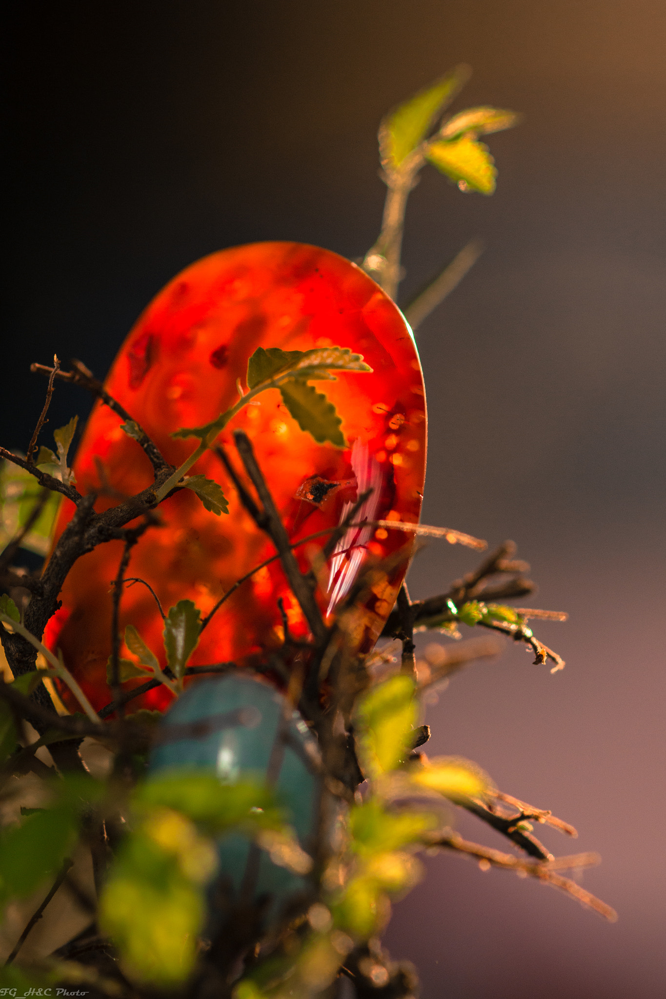 Canon EF 100mm F2.8 Macro USM sample photo. Palm stone photography