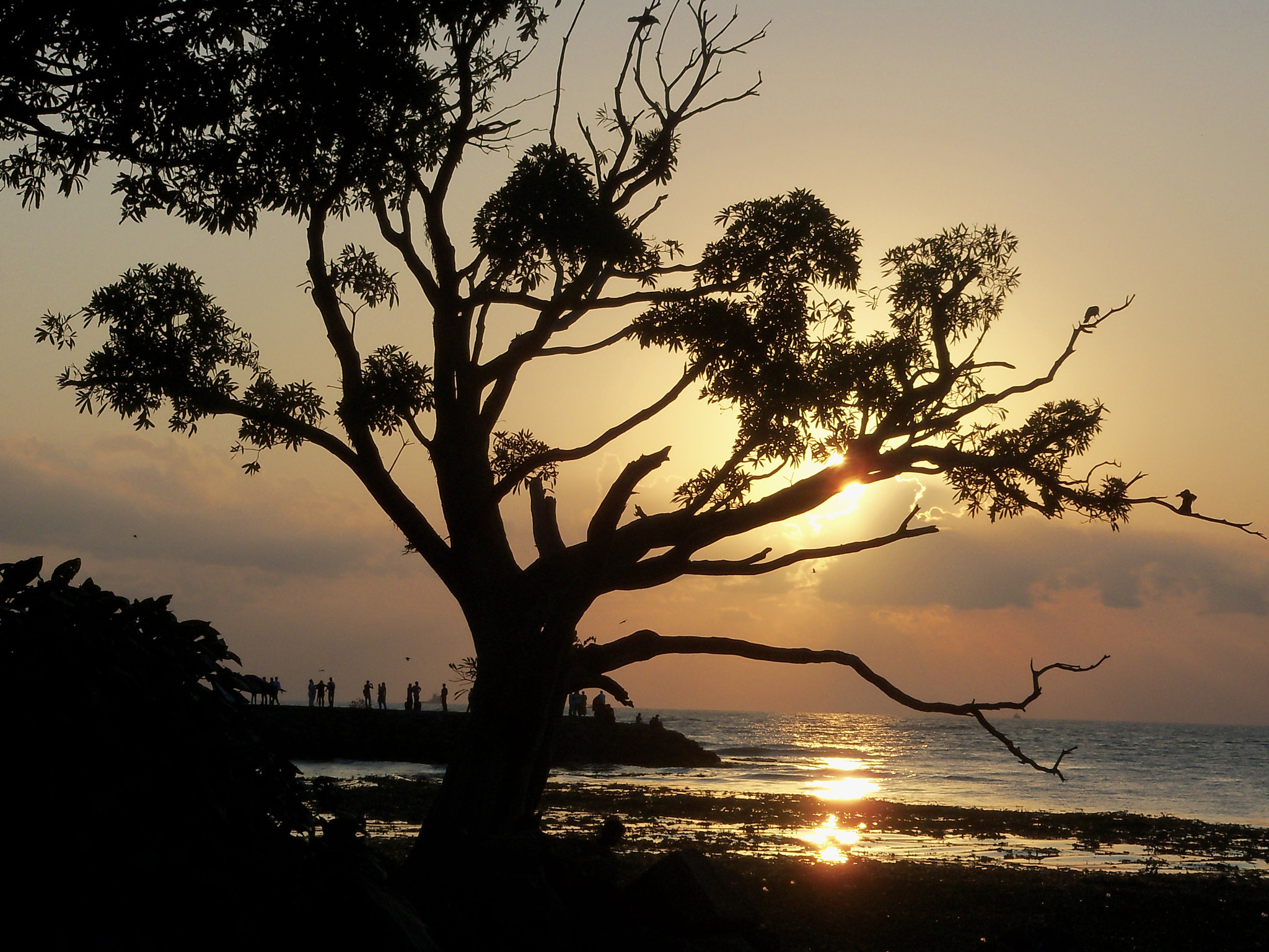 Kodak EASYSHARE M380 DIGITAL CAMERA sample photo. Silhouette beach and the sunset photography