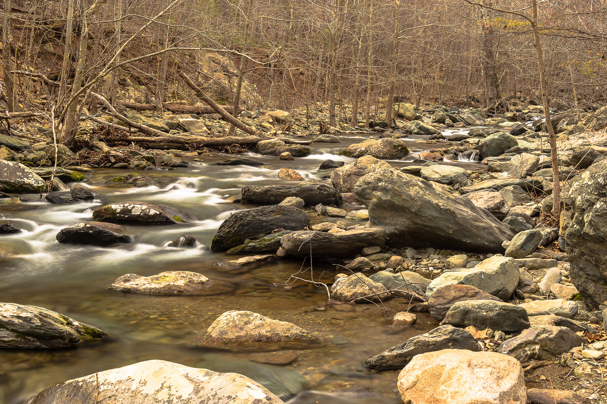 ZEISS Makro-Planar T* 50mm F2 sample photo. Moorman's river photography