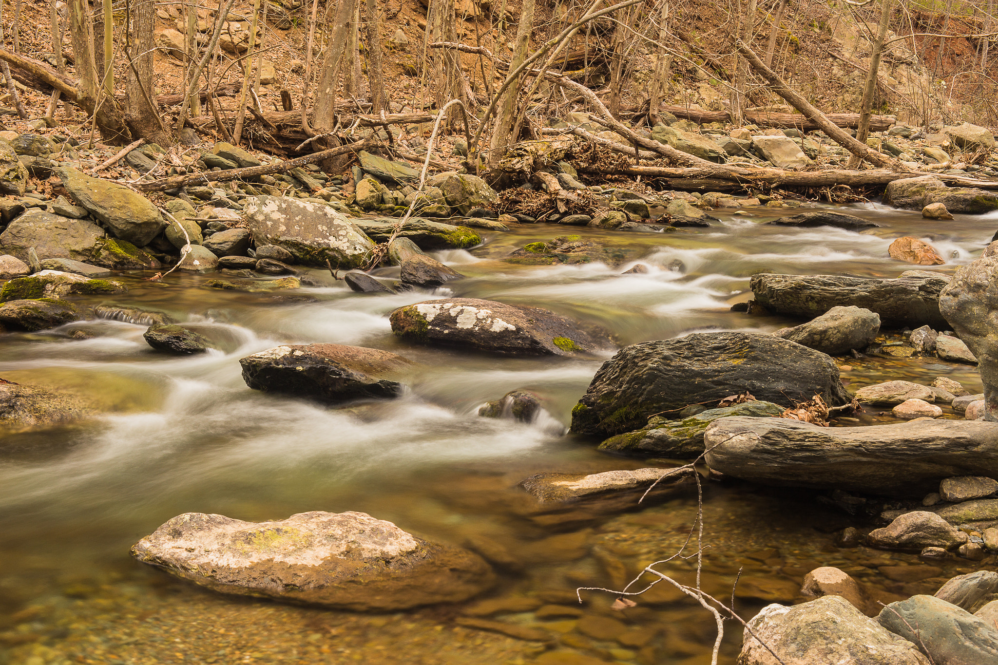 ZEISS Makro-Planar T* 50mm F2 sample photo. Sugar hollow photography