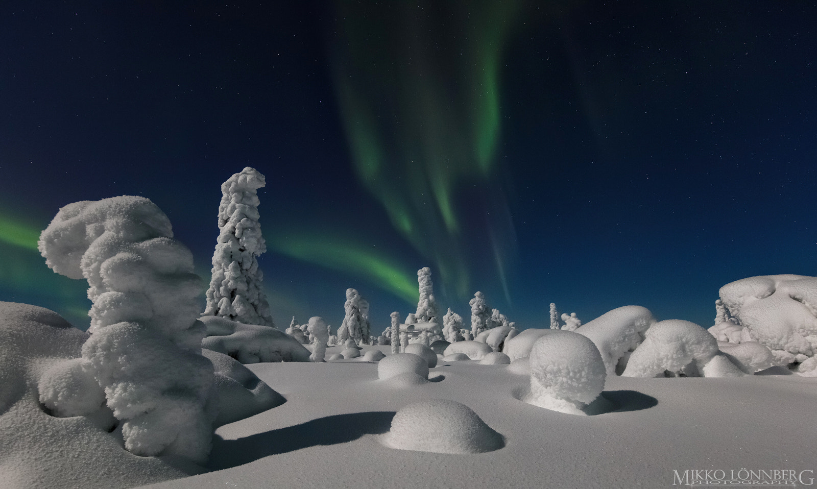 Canon EOS 5DS R + Canon EF 300mm f/2.8L sample photo. Frozen trees photography