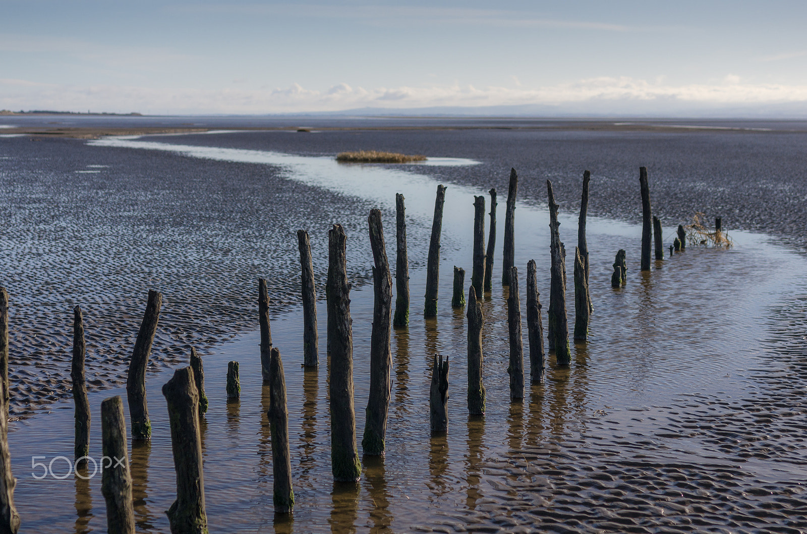 Pentax K-5 + smc PENTAX-F MACRO 50mm F2.8 sample photo. At low tide photography