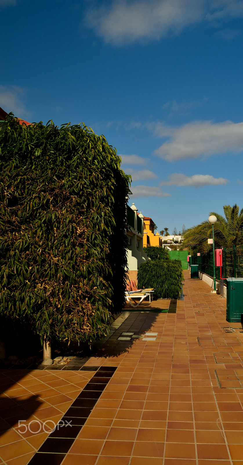 Sigma 18-200mm F3.5-6.3 DC OS HSM sample photo. Maspalomas photography
