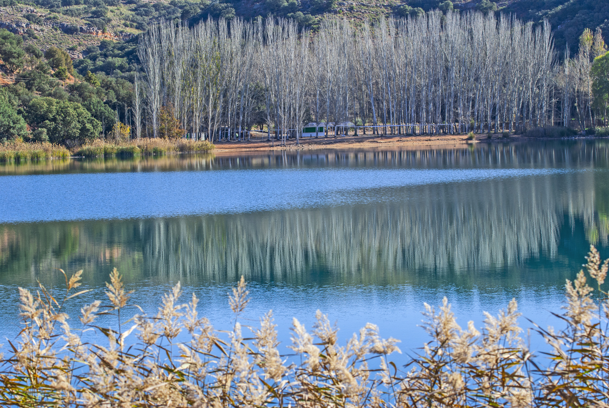 Nikon D60 sample photo. Lagunas de ruidera. castilla la mancha. españa) photography
