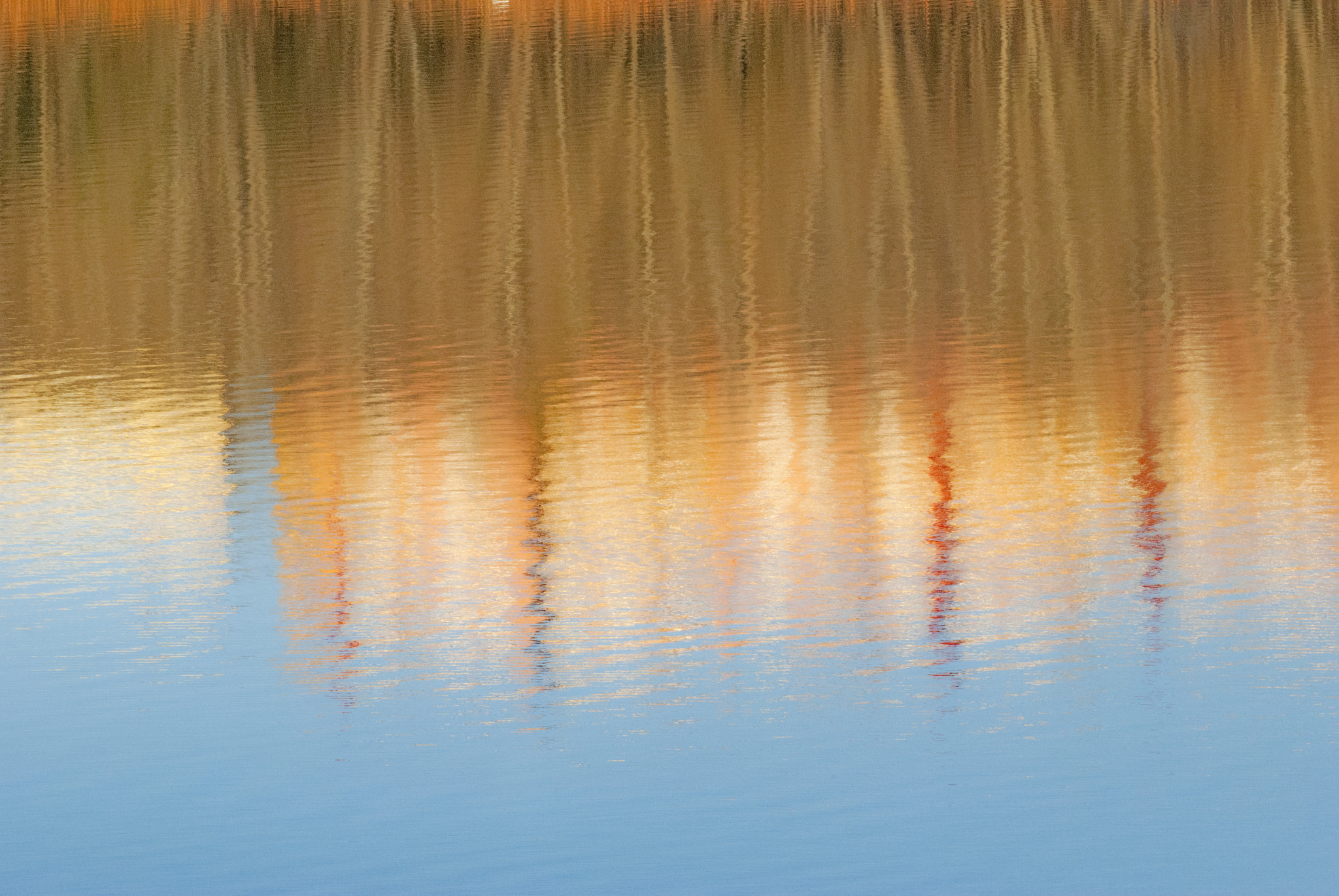 Nikon D60 sample photo. Lagunas de ruidera. castilla la mancha. españa) photography