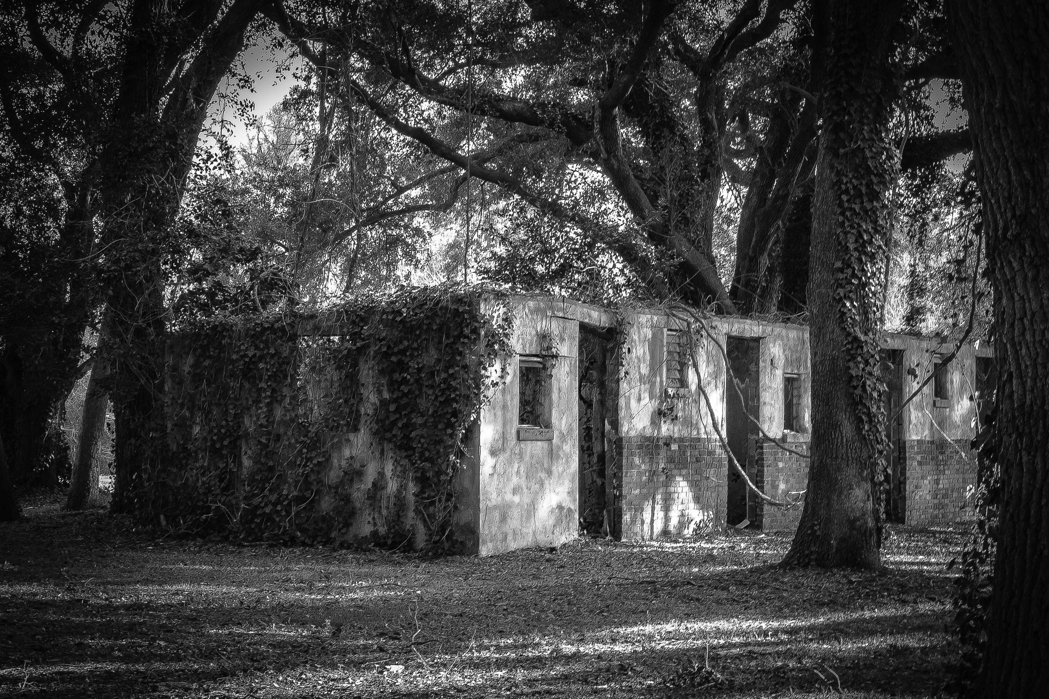 Canon EF-S 55-250mm F4-5.6 IS STM sample photo. Abandoned photography