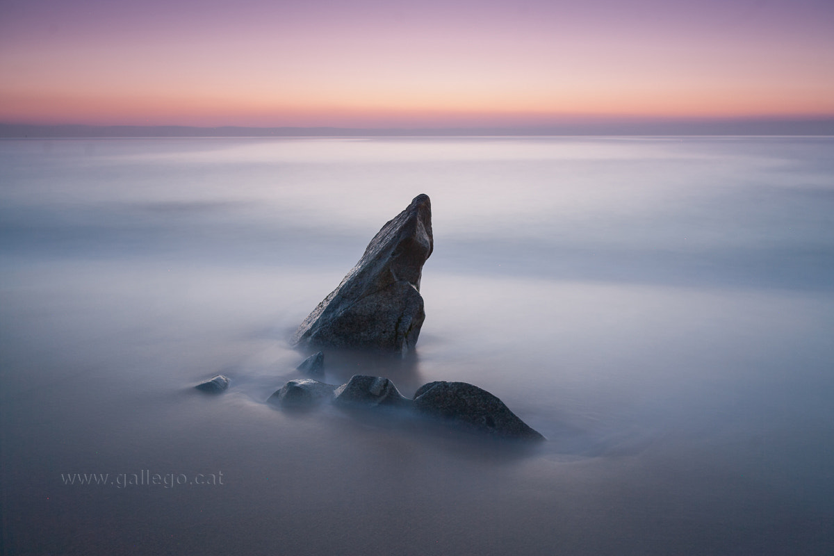 Canon EOS 5D + Canon EF 17-35mm f/2.8L sample photo. Shark fin. photography