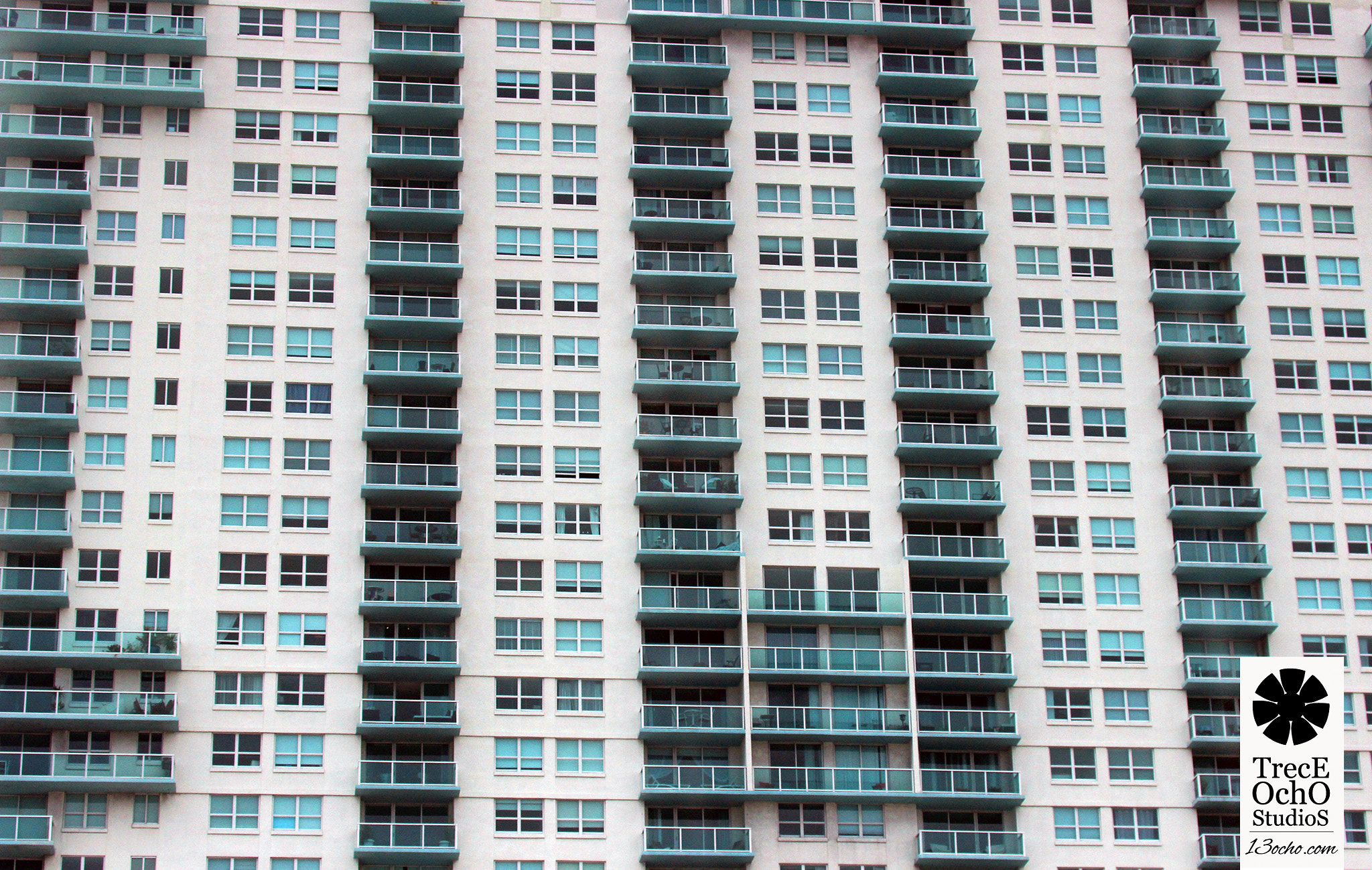 Canon EF 35-350mm F3.5-5.6L USM sample photo. Yawn photography