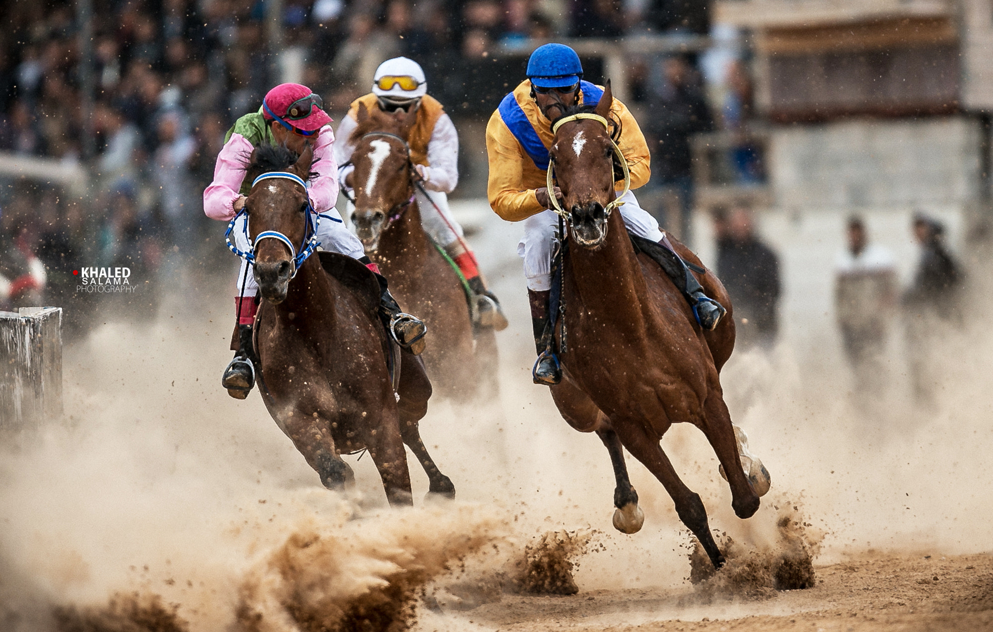 Canon EF 400mm F2.8L IS USM sample photo. Ca4p9108-2.jpg photography