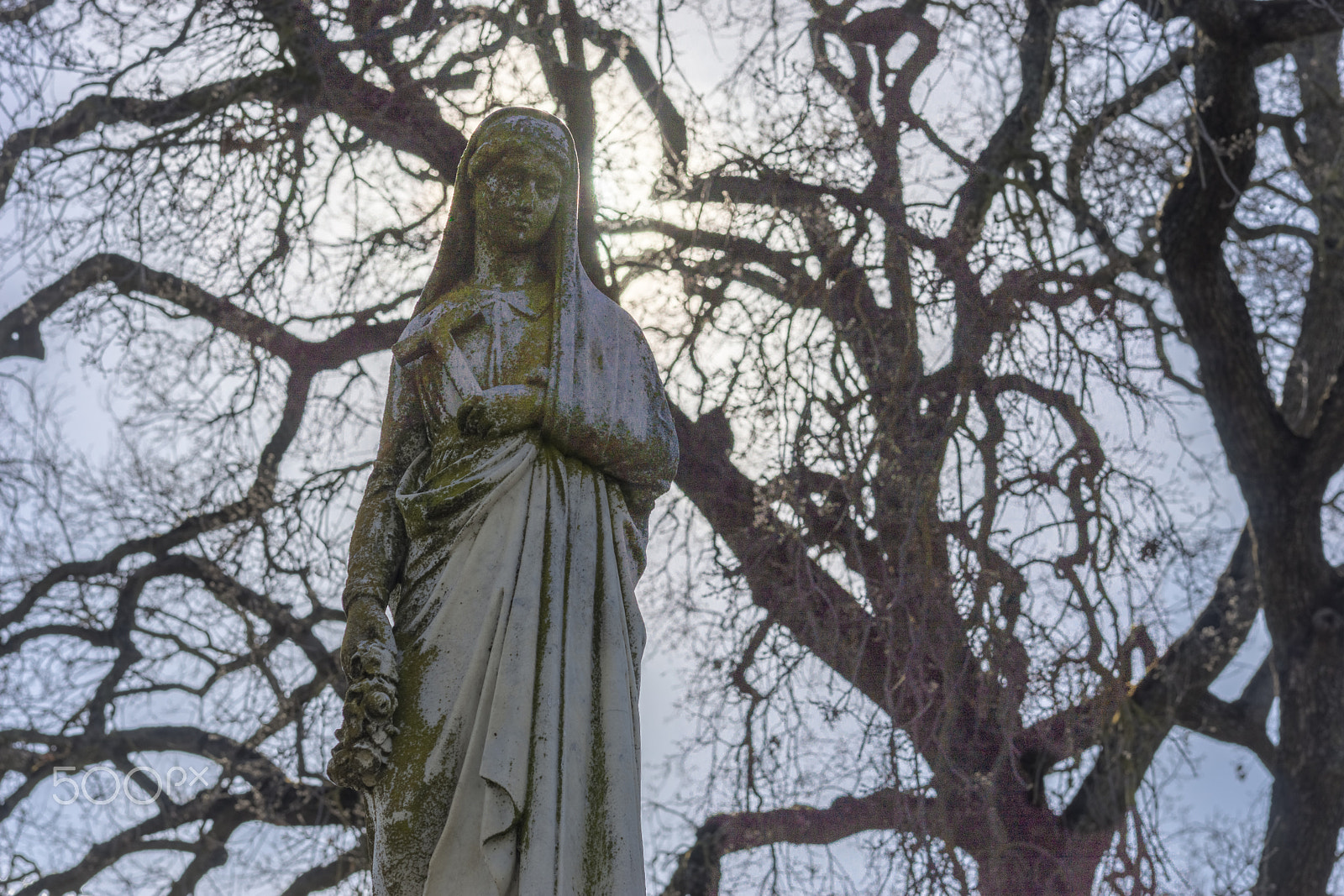 Sony a99 II + Sony 85mm F2.8 SAM sample photo. Halo over a stone angel photography