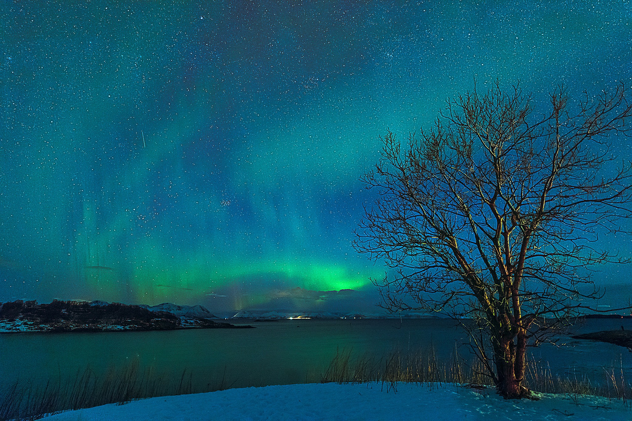 Nikon D810A sample photo. Near kasfjord norway photography