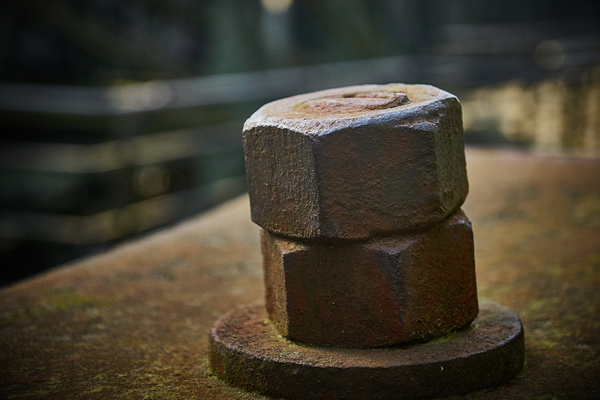 Sony DT 16-105mm F3.5-5.6 sample photo. M.o.t.h.e.r photography
