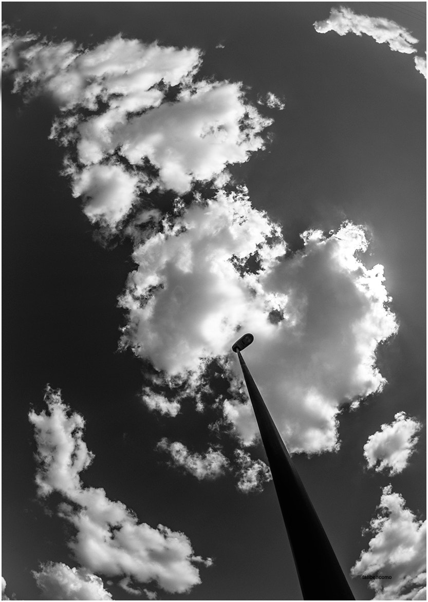 Nikon D90 + Samyang 8mm F3.5 Aspherical IF MC Fisheye sample photo. Mi árbol de nubes photography