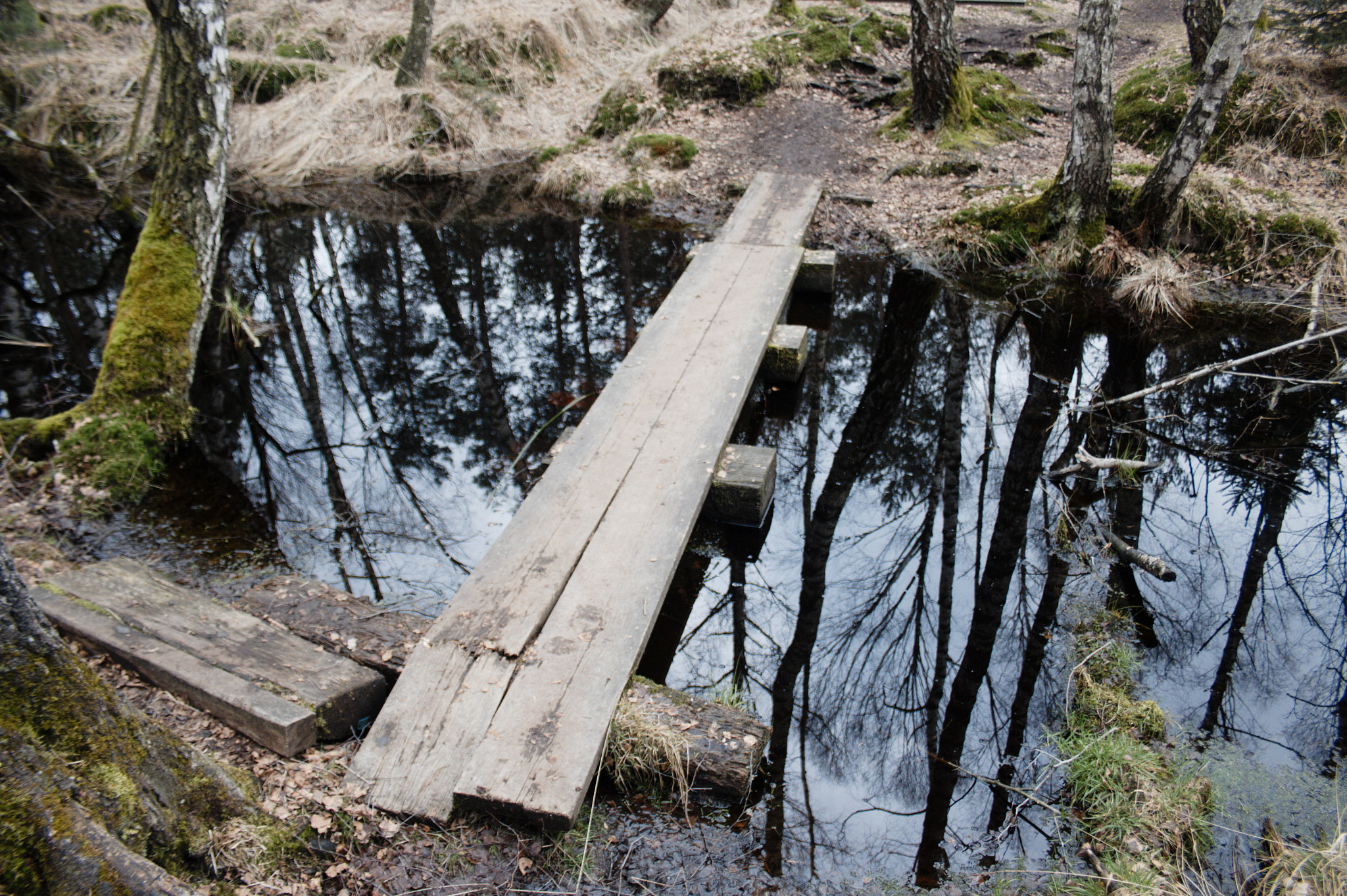 Canon EF-S 18-55mm F3.5-5.6 sample photo. Brige in moor with silent river photography