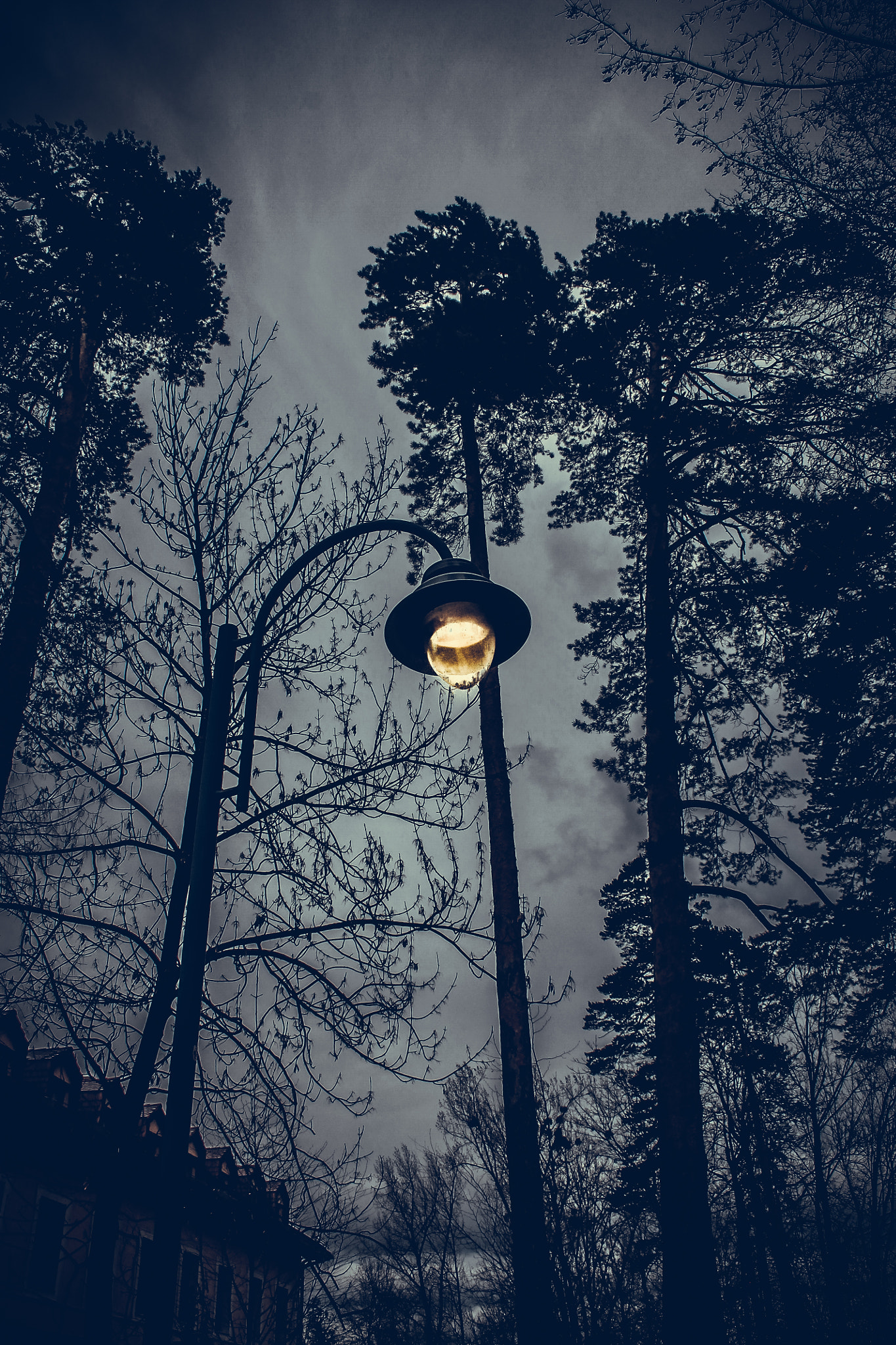 Canon EF-S 18-55mm F3.5-5.6 sample photo. Bosnian horror story. photography