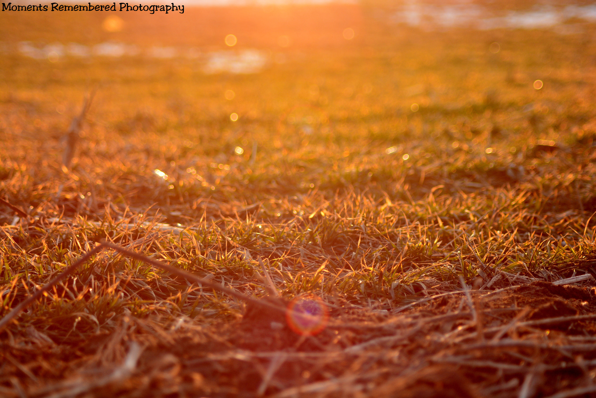 Nikon AF Nikkor 70-300mm F4-5.6G sample photo. Warm photography