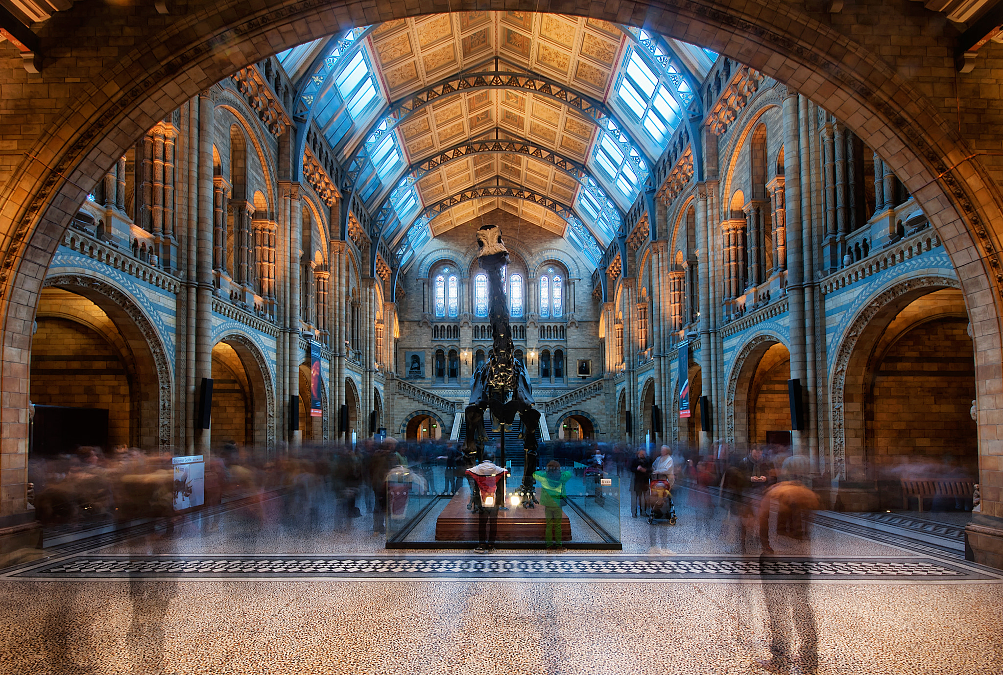 Nikon D60 + Sigma 10-20mm F4-5.6 EX DC HSM sample photo. Natural history museum photography