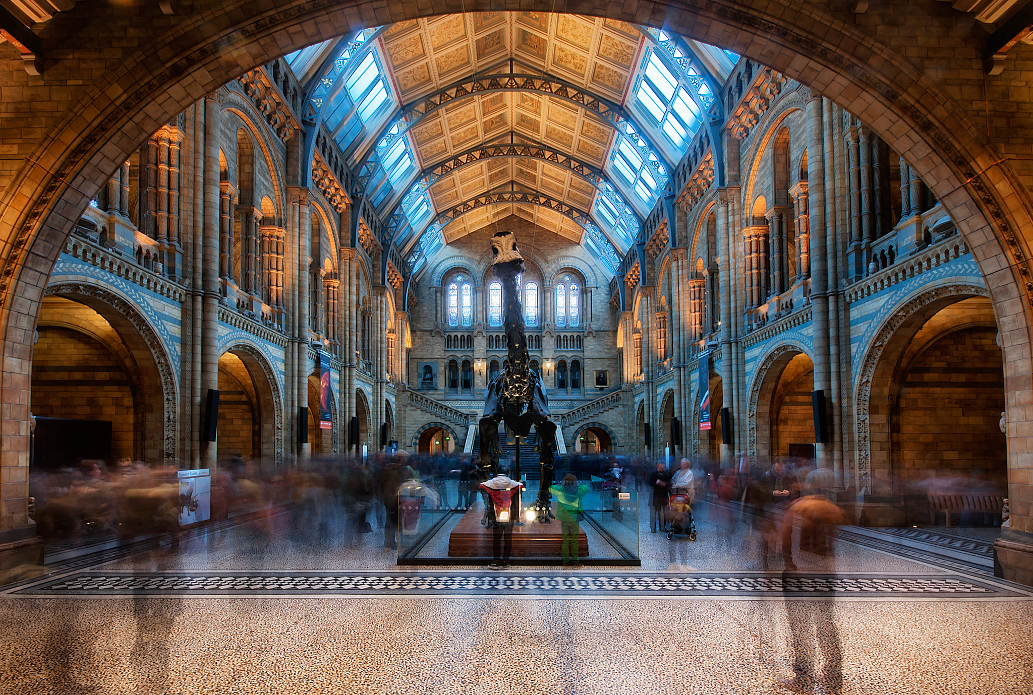 Sigma 10-20mm F4-5.6 EX DC HSM sample photo. Natural history museum photography