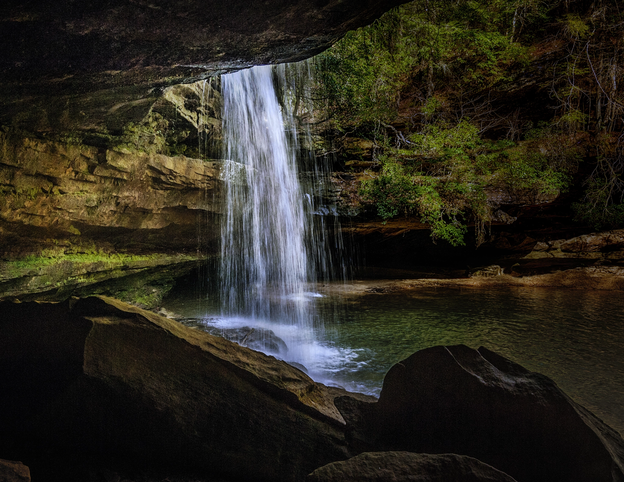 Nikon D2X sample photo. Bankhead national forest photography