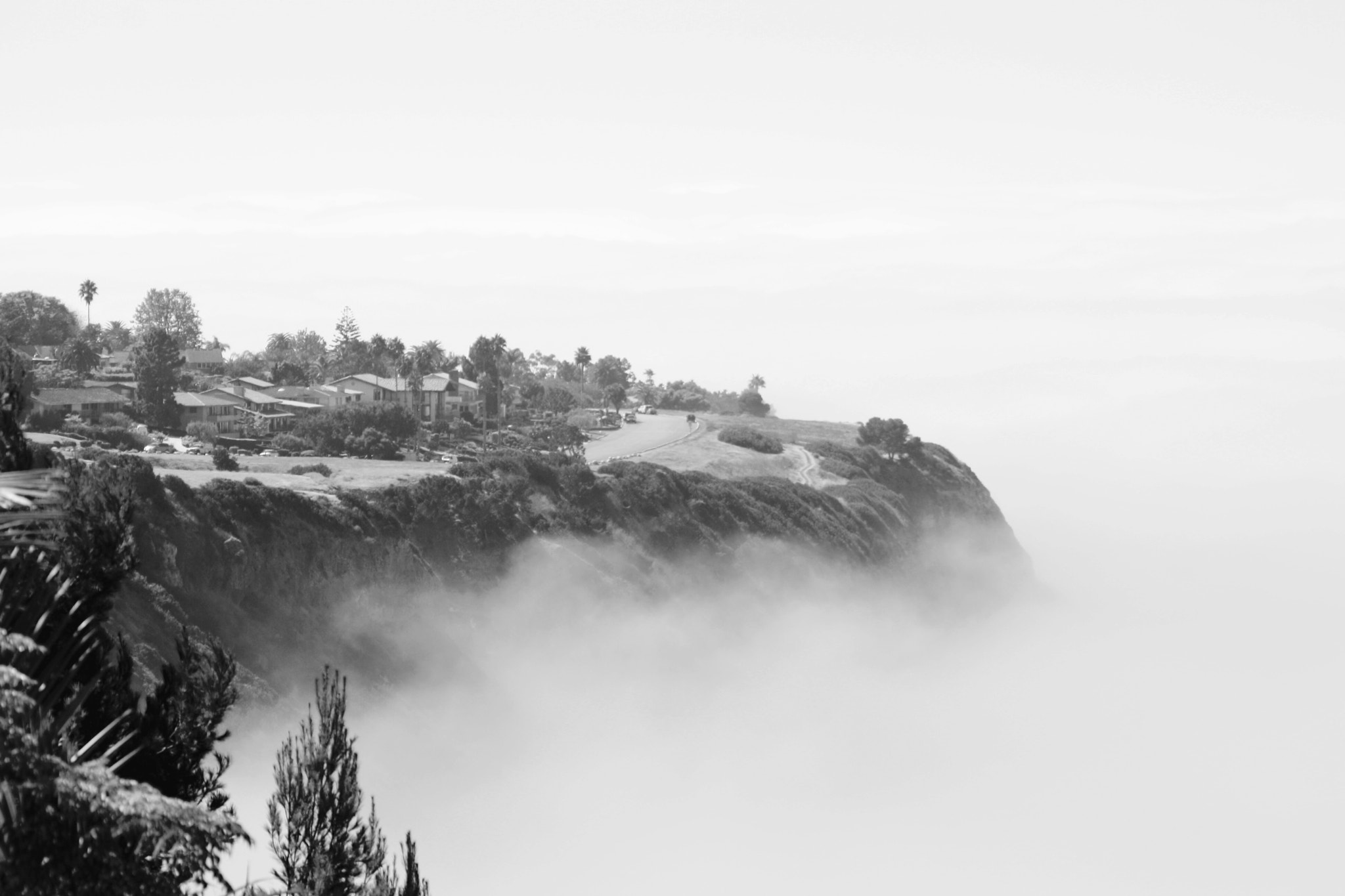 Canon 18-200mm sample photo. Sitting on top photography