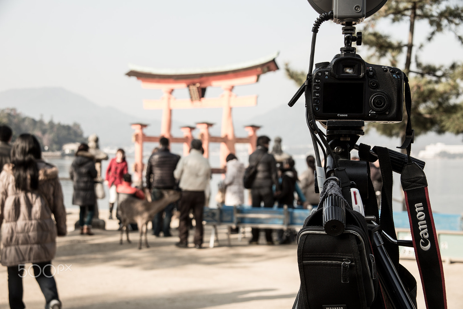Canon EF 28-200mm F3.5-5.6 USM sample photo. Behind the camera photography