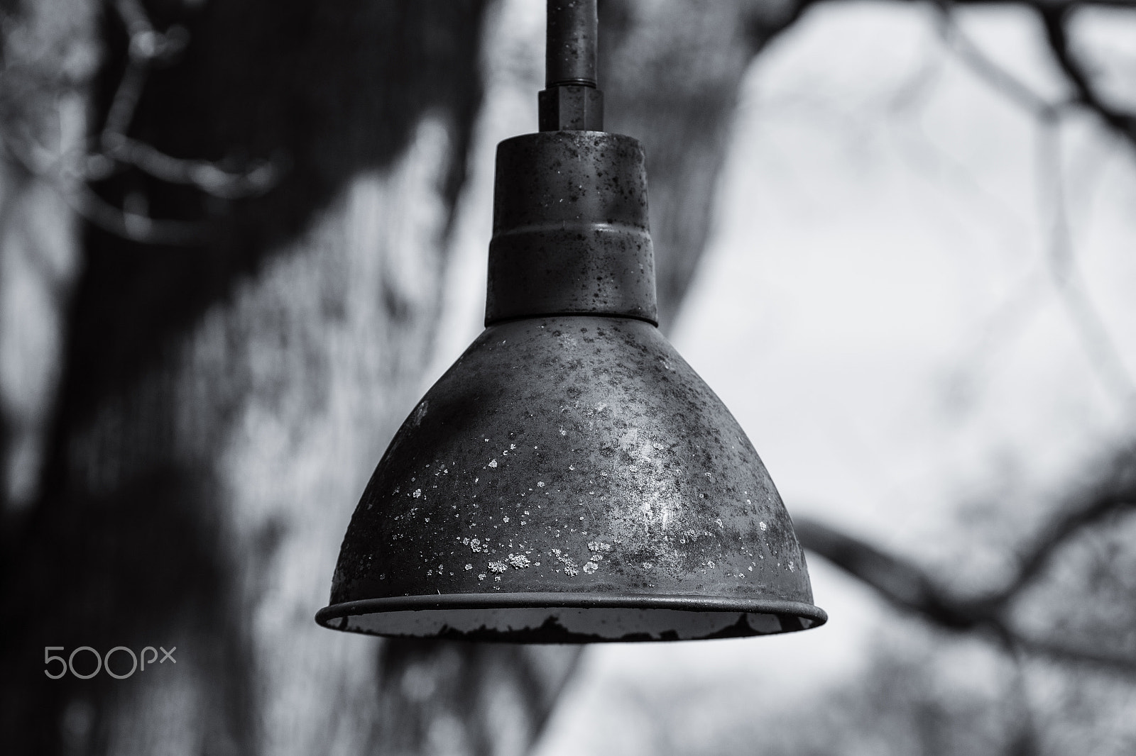 Canon EOS 100D (EOS Rebel SL1 / EOS Kiss X7) sample photo. Old weathered light photography