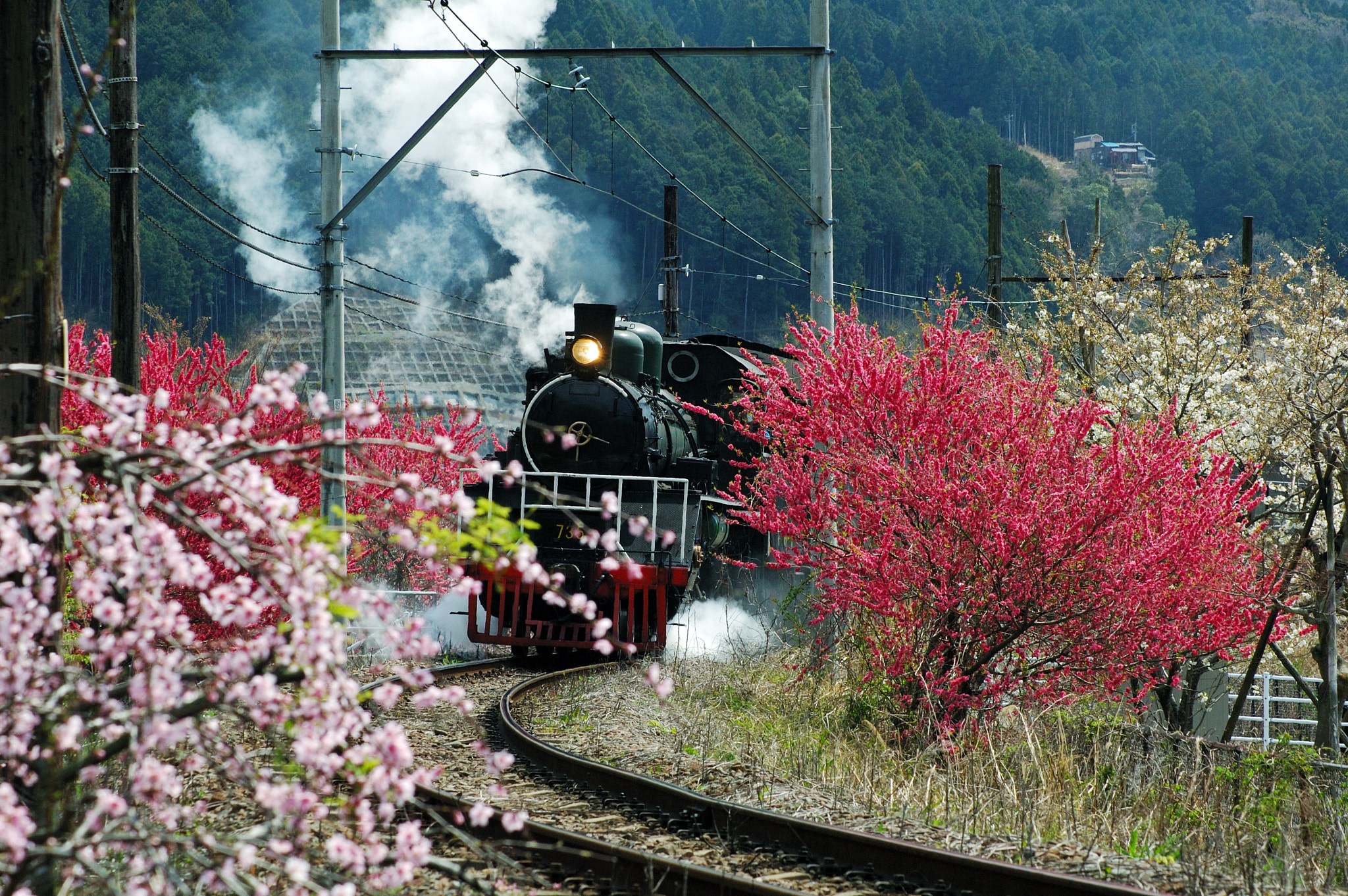AF Zoom-Nikkor 70-300mm f/4-5.6D ED sample photo. Sl photography