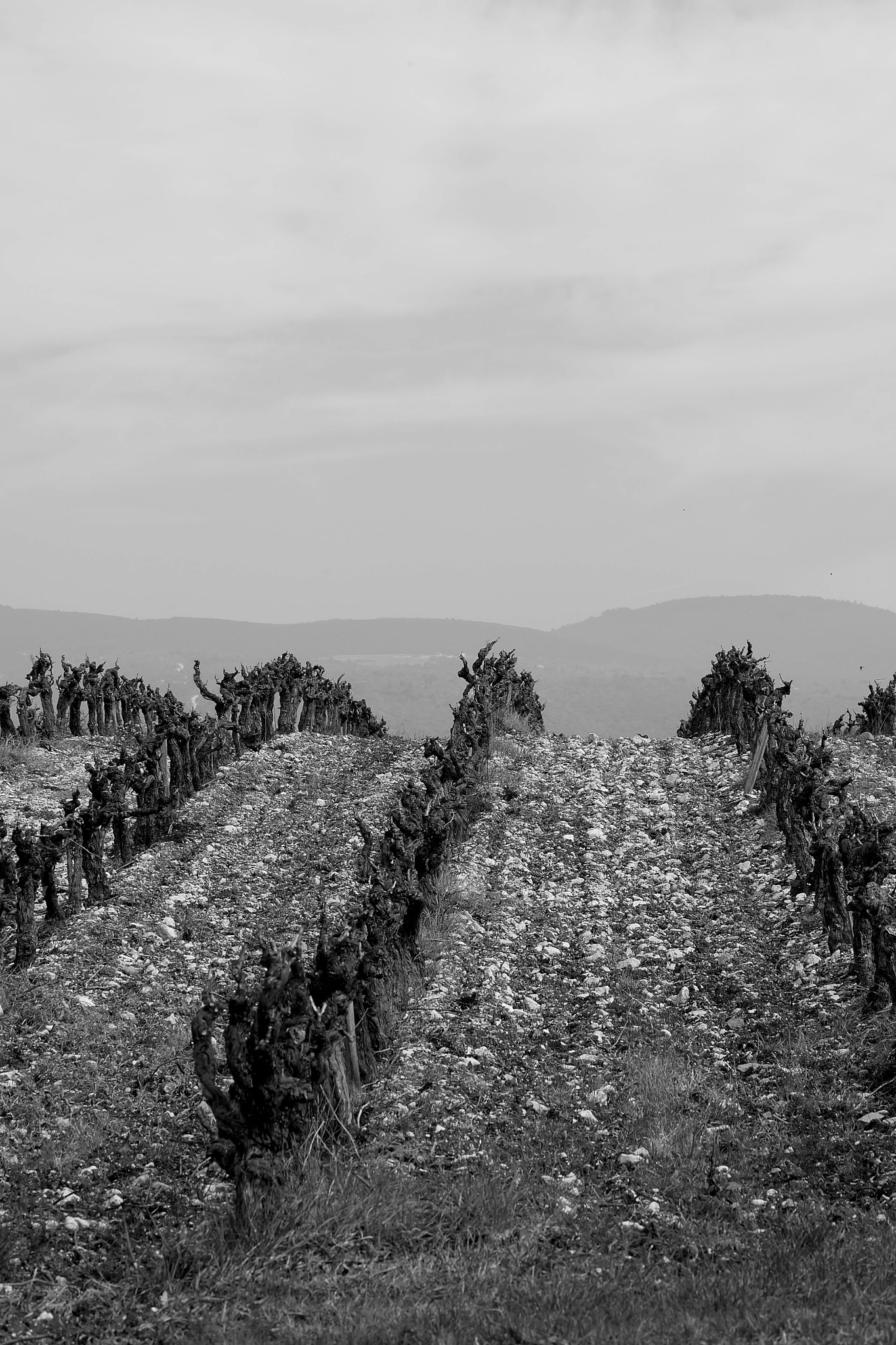 Fujifilm X-A2 + Fujifilm XC 50-230mm F4.5-6.7 OIS II sample photo. Côte de provence photography