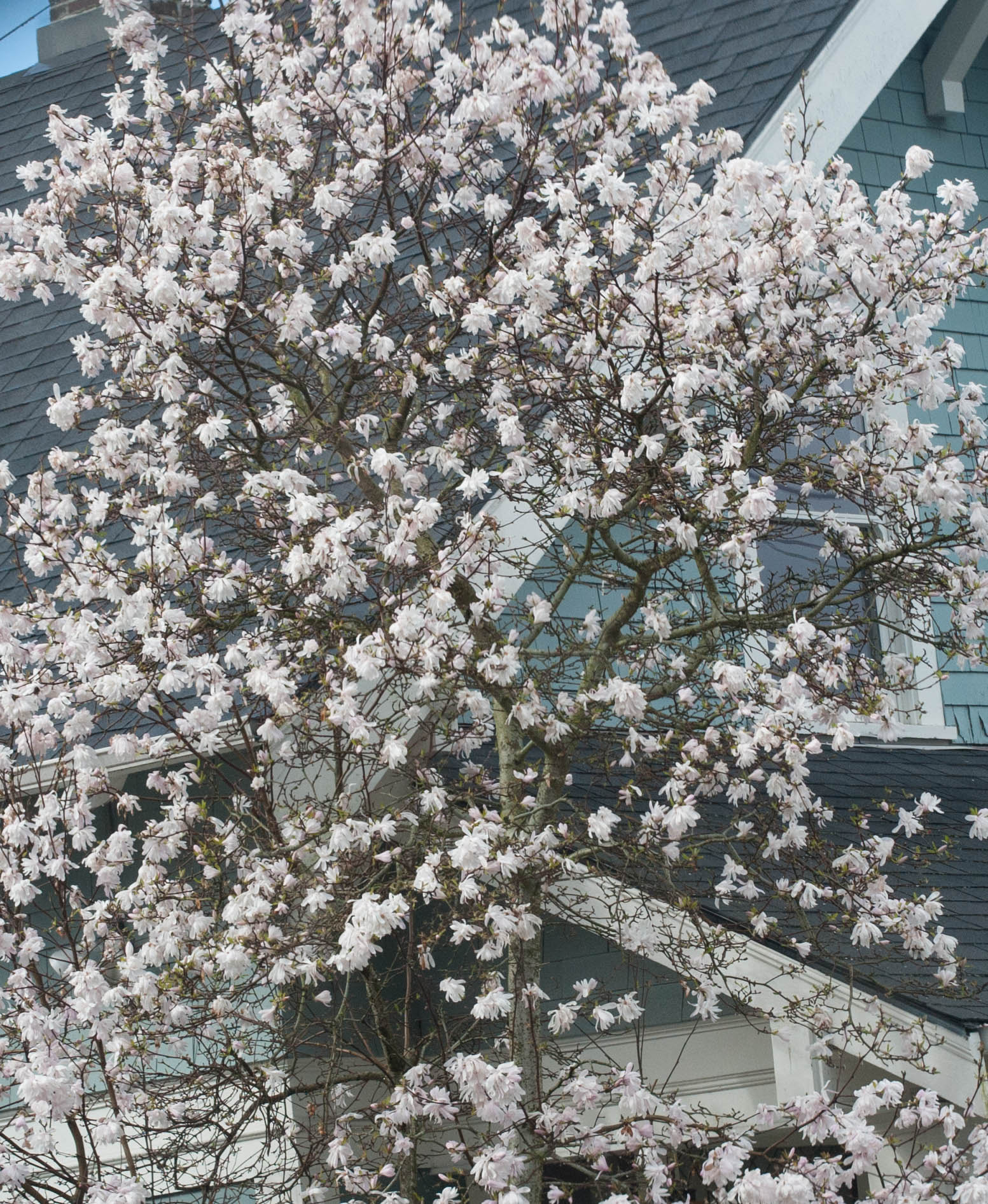 Nikon D3 sample photo. Bb mm photography