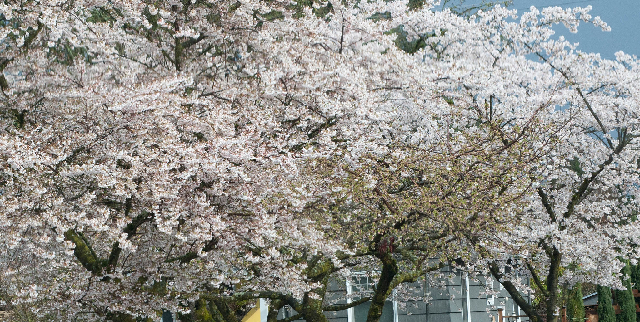 Nikon D3 sample photo. Bb mm photography