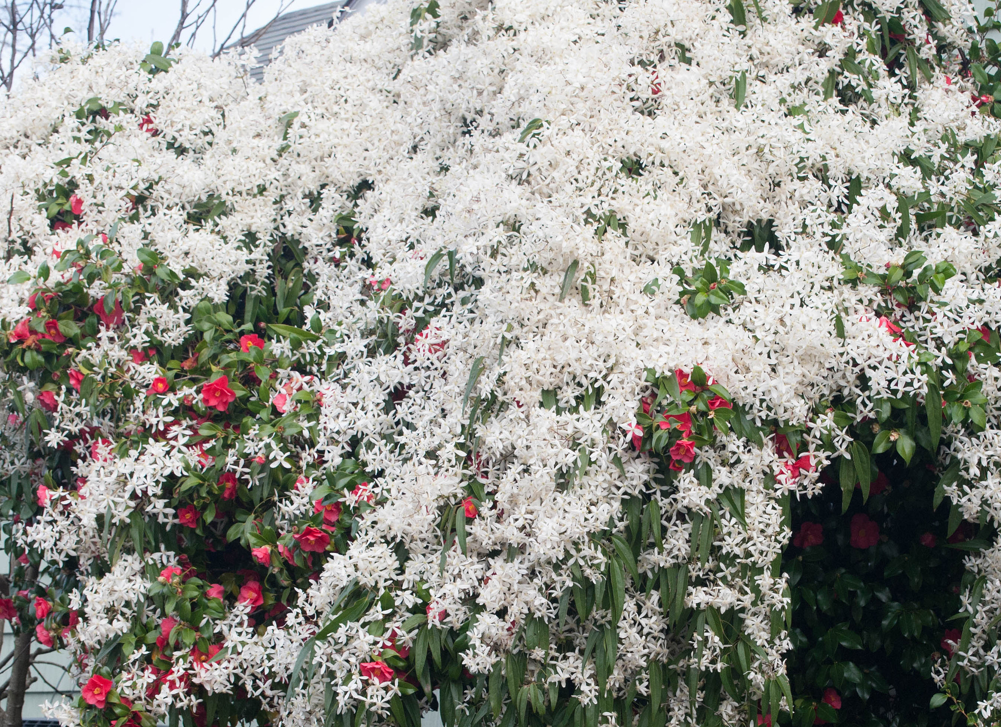 Nikon D3 sample photo. Bb mm photography