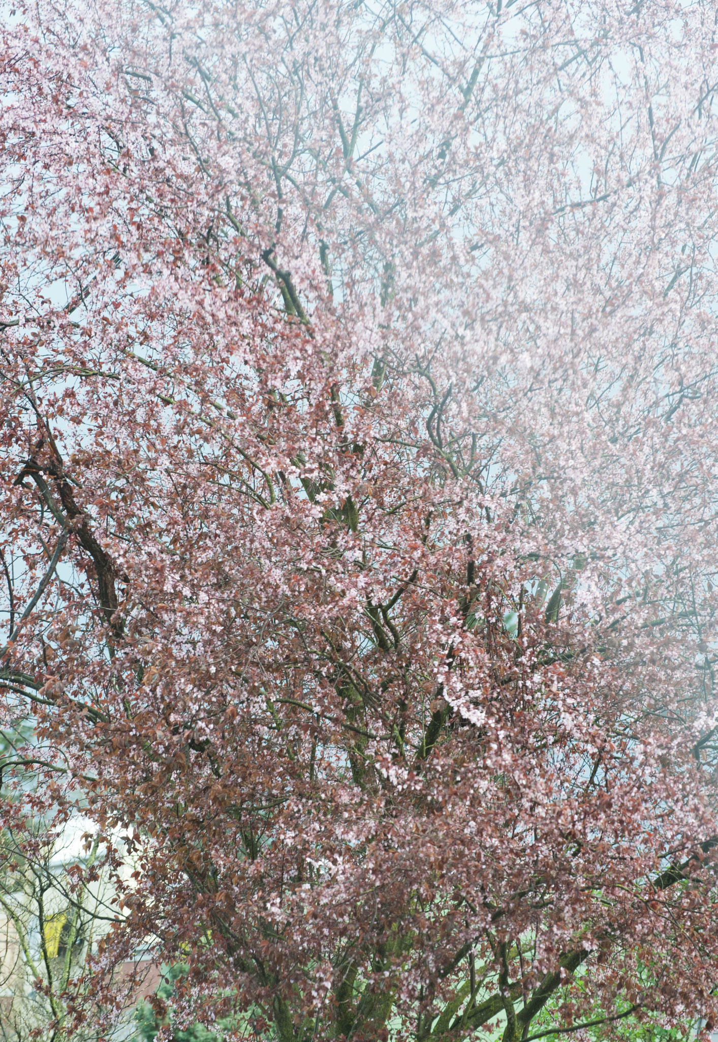 Nikon D3 sample photo. Bb mm photography