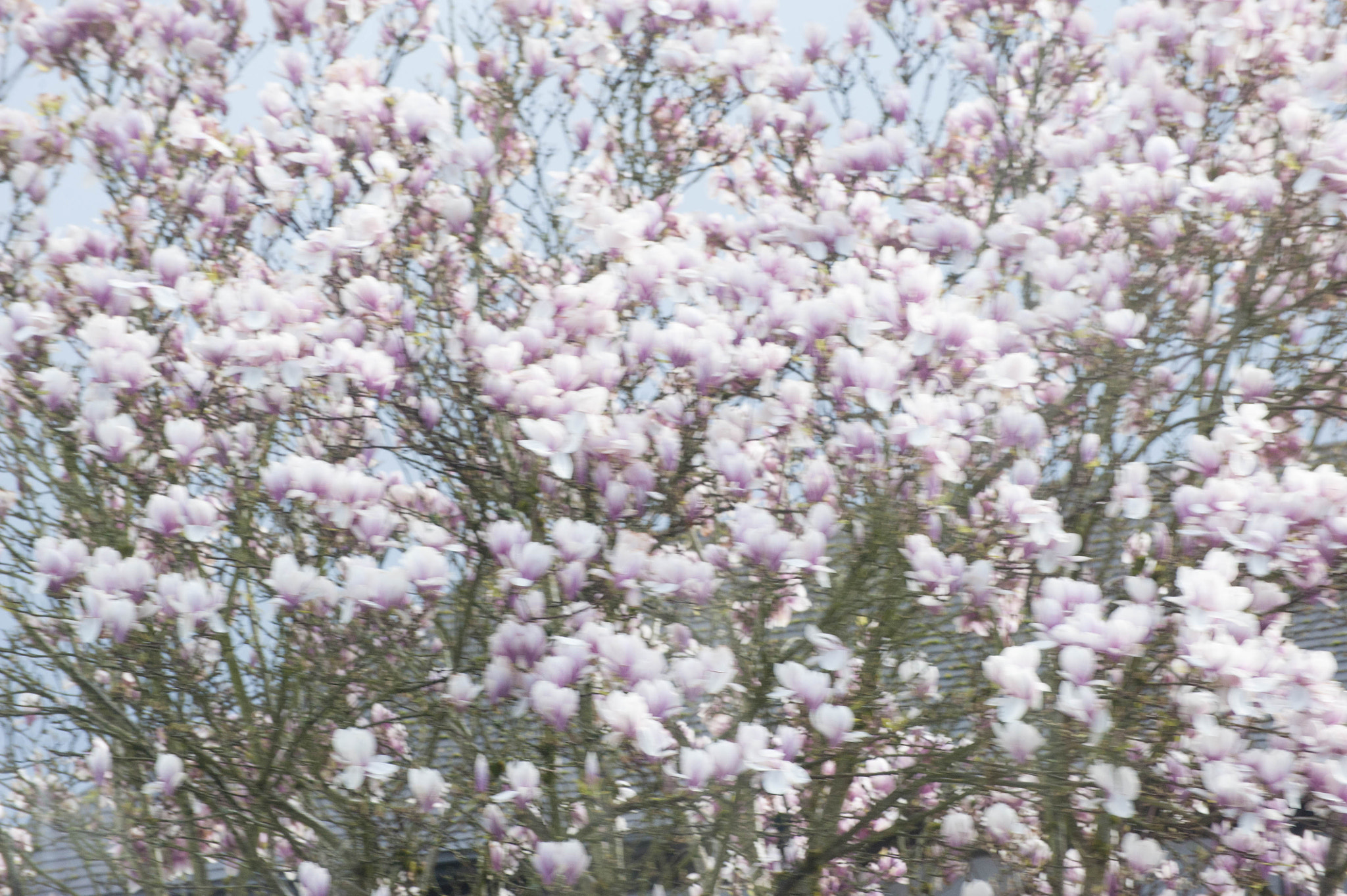 Nikon D3 sample photo. Bb mm photography