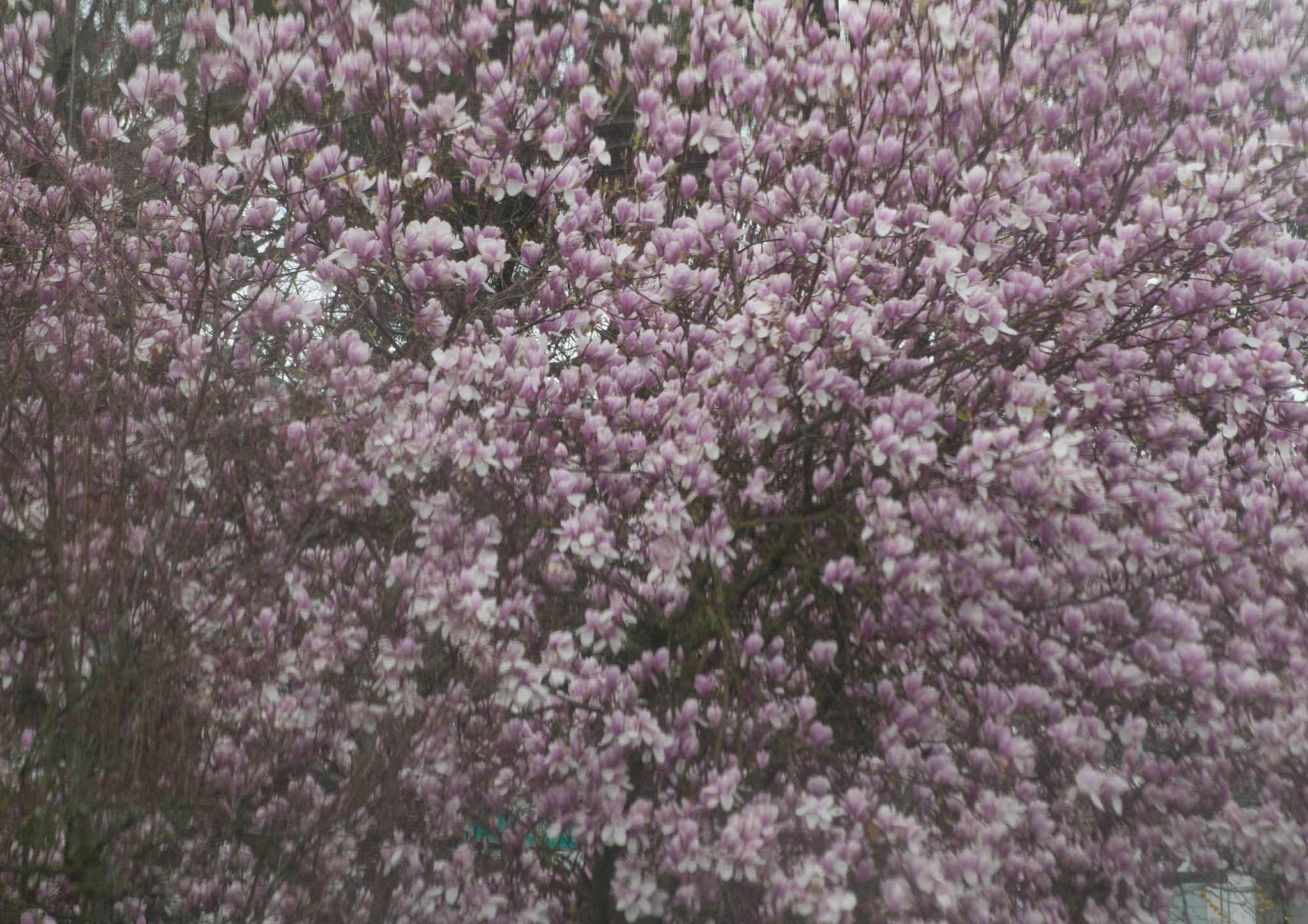 Nikon D3 sample photo. Bb mm photography