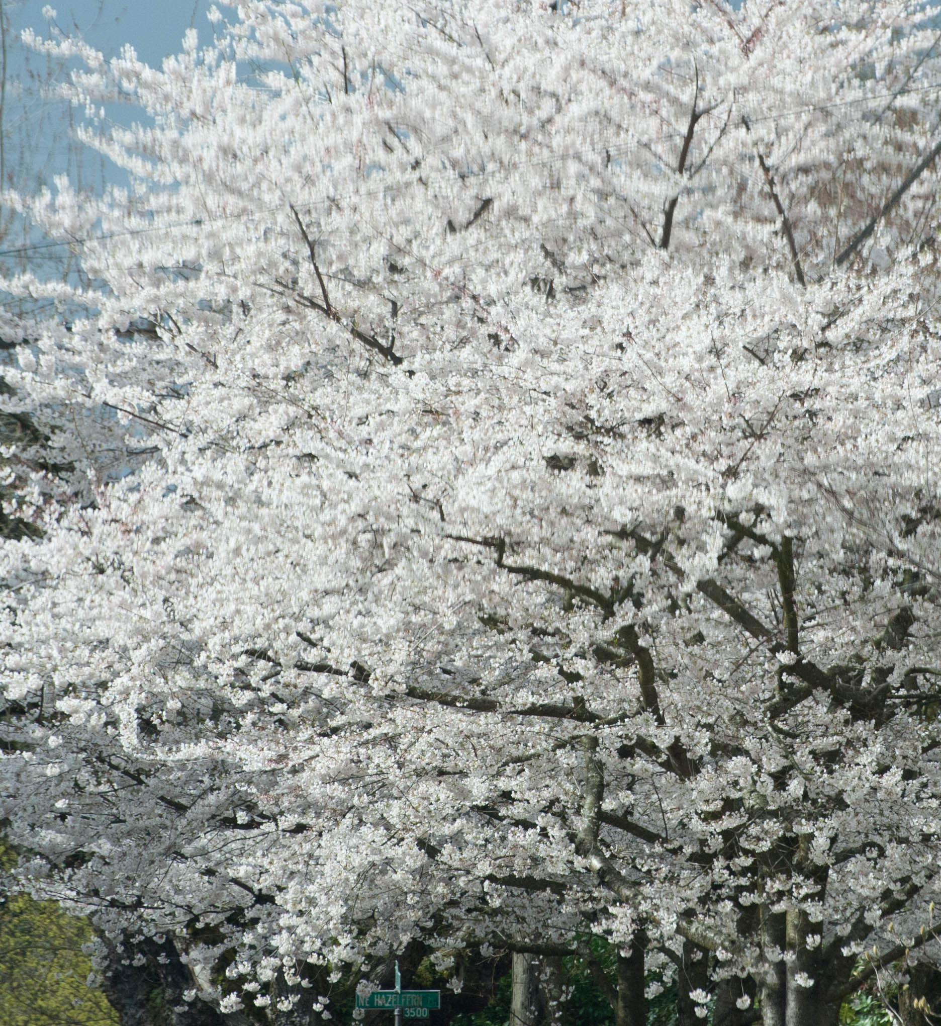 Nikon D3 sample photo. Bb mm photography