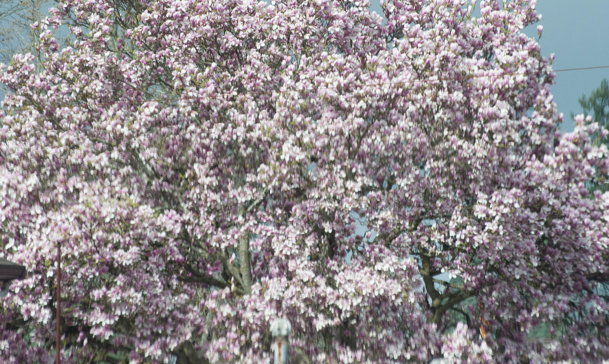 Nikon D3 sample photo. Bb mm photography