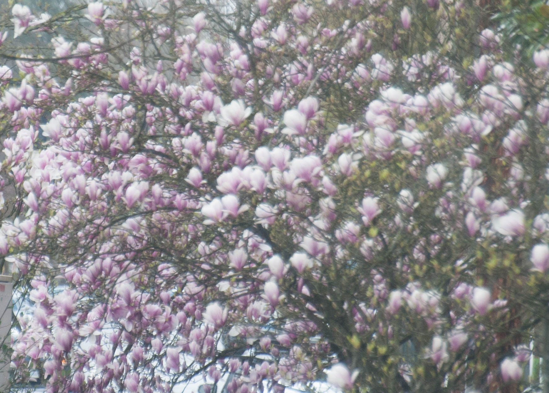 Nikon D3 sample photo. Bb mm photography