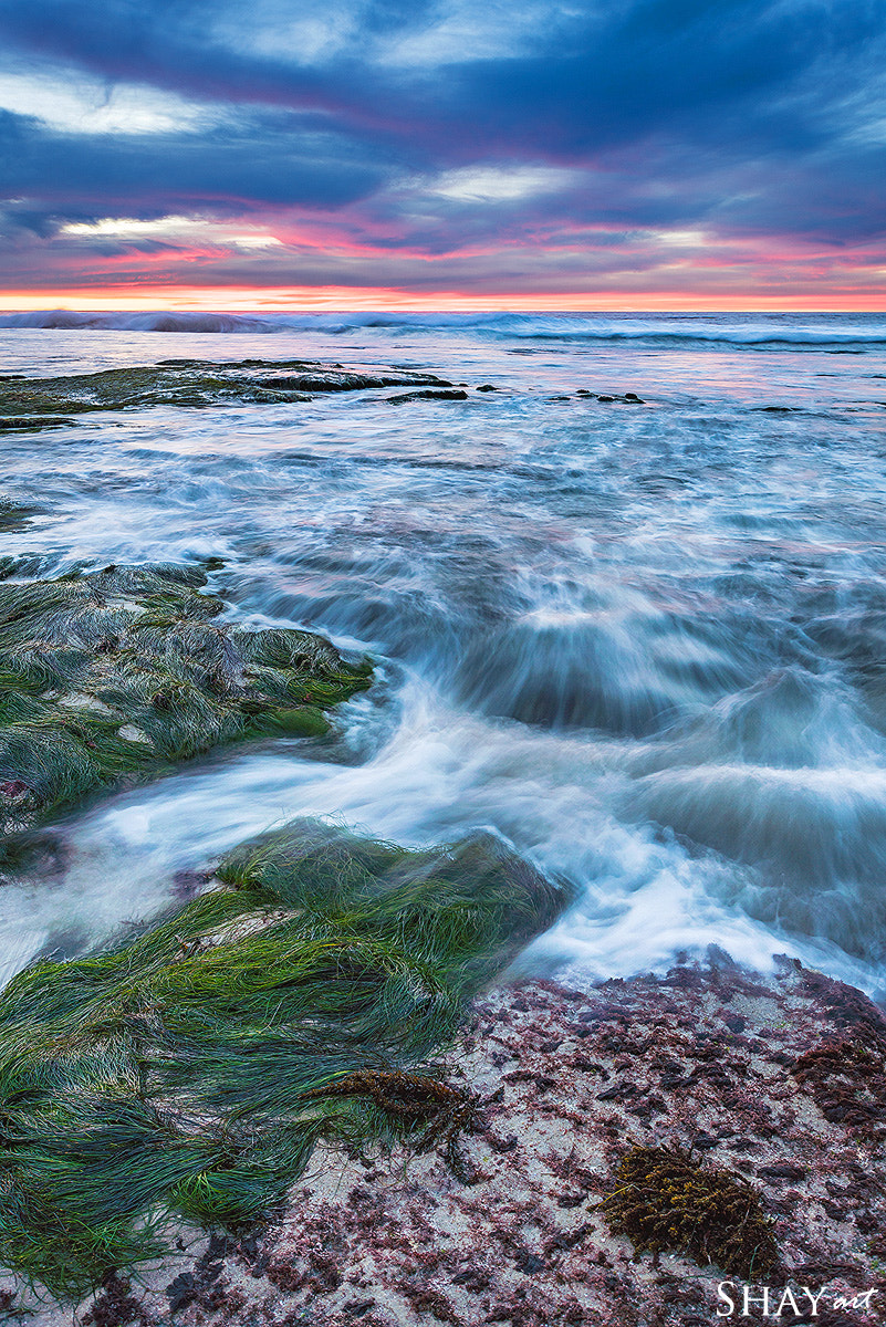 Tamron 18-270mm F3.5-6.3 Di II PZD sample photo. Tidal bliss photography