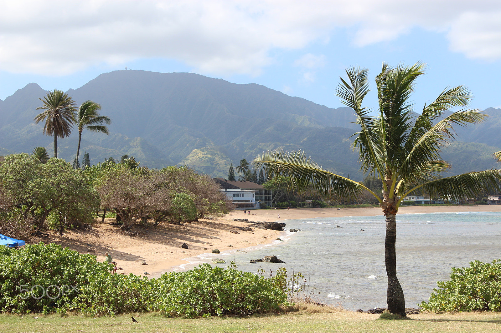 Canon EOS 650D (EOS Rebel T4i / EOS Kiss X6i) sample photo. Haleiwa beach photography